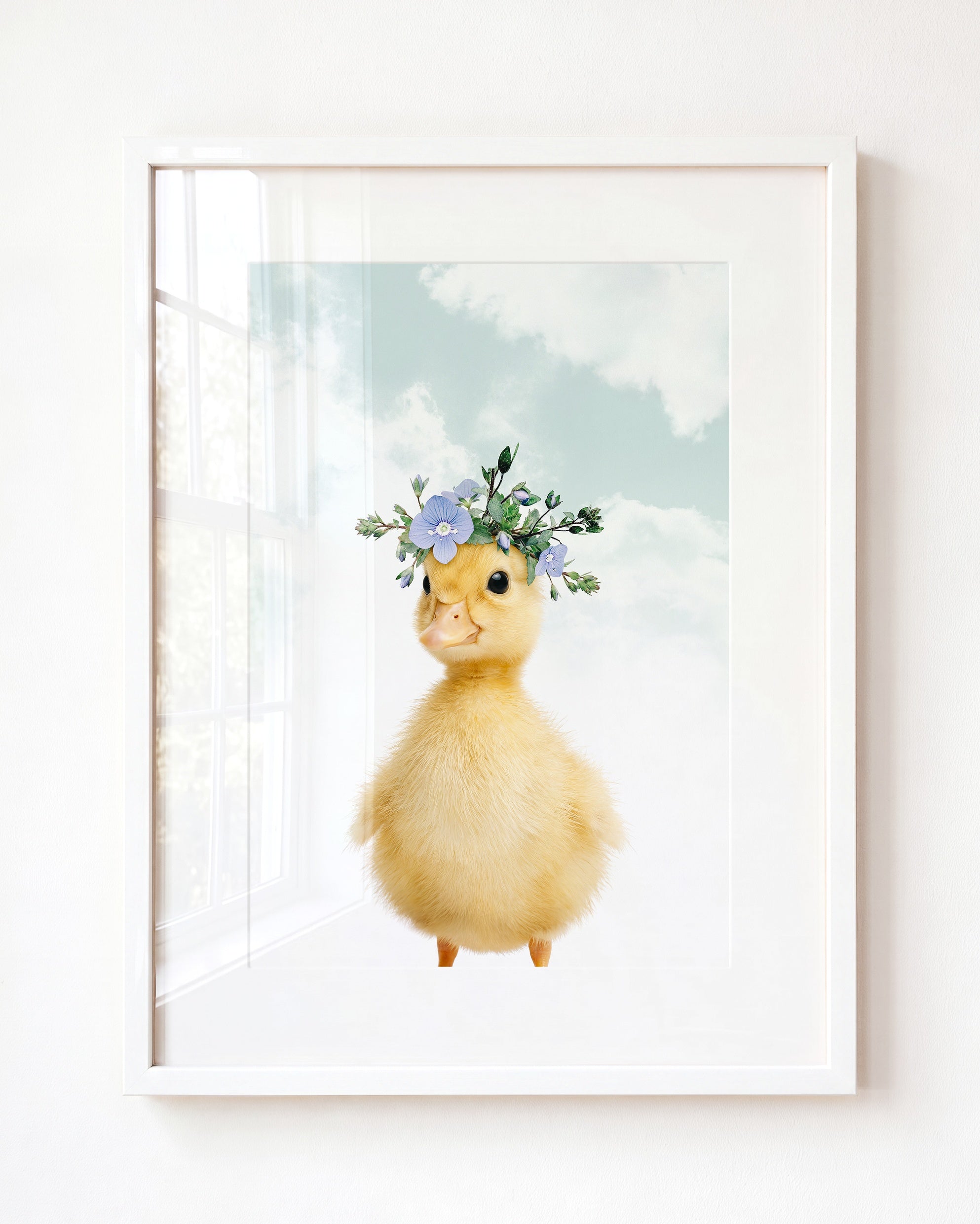 Baby Duckling