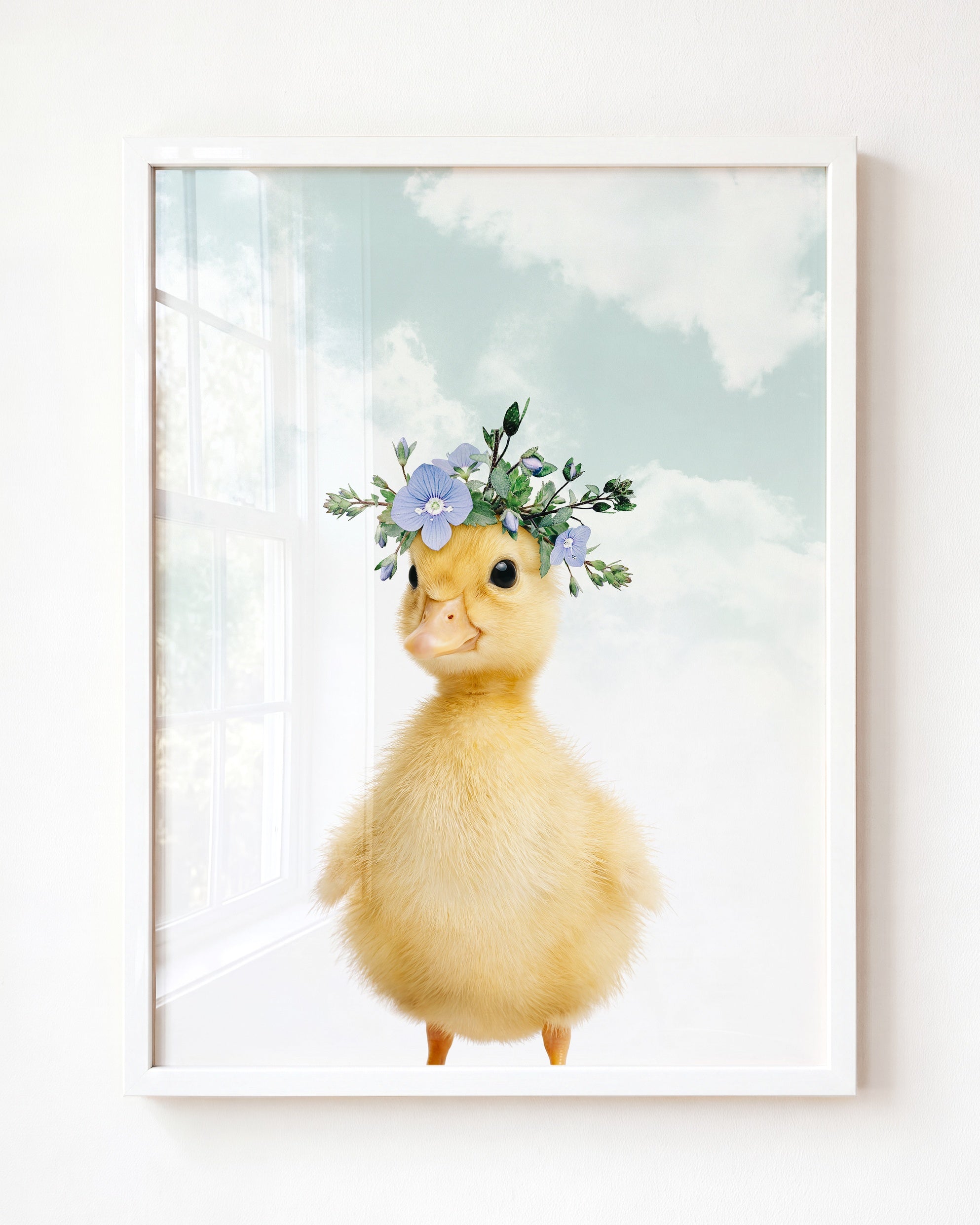 Baby Duckling