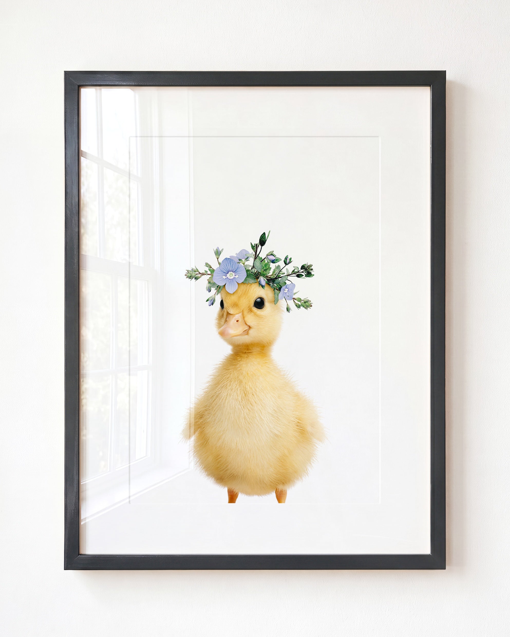 Baby Duckling
