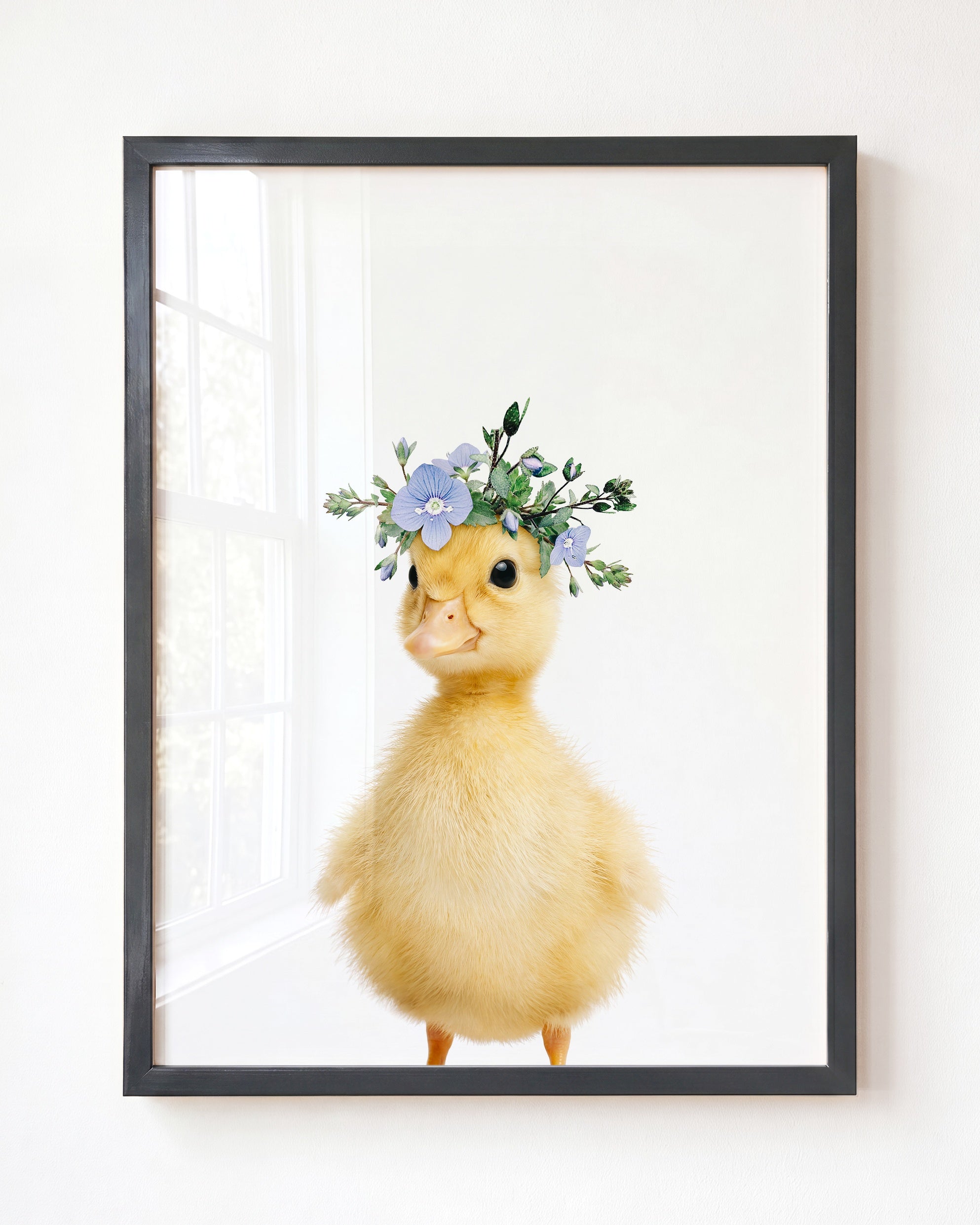 Baby Duckling