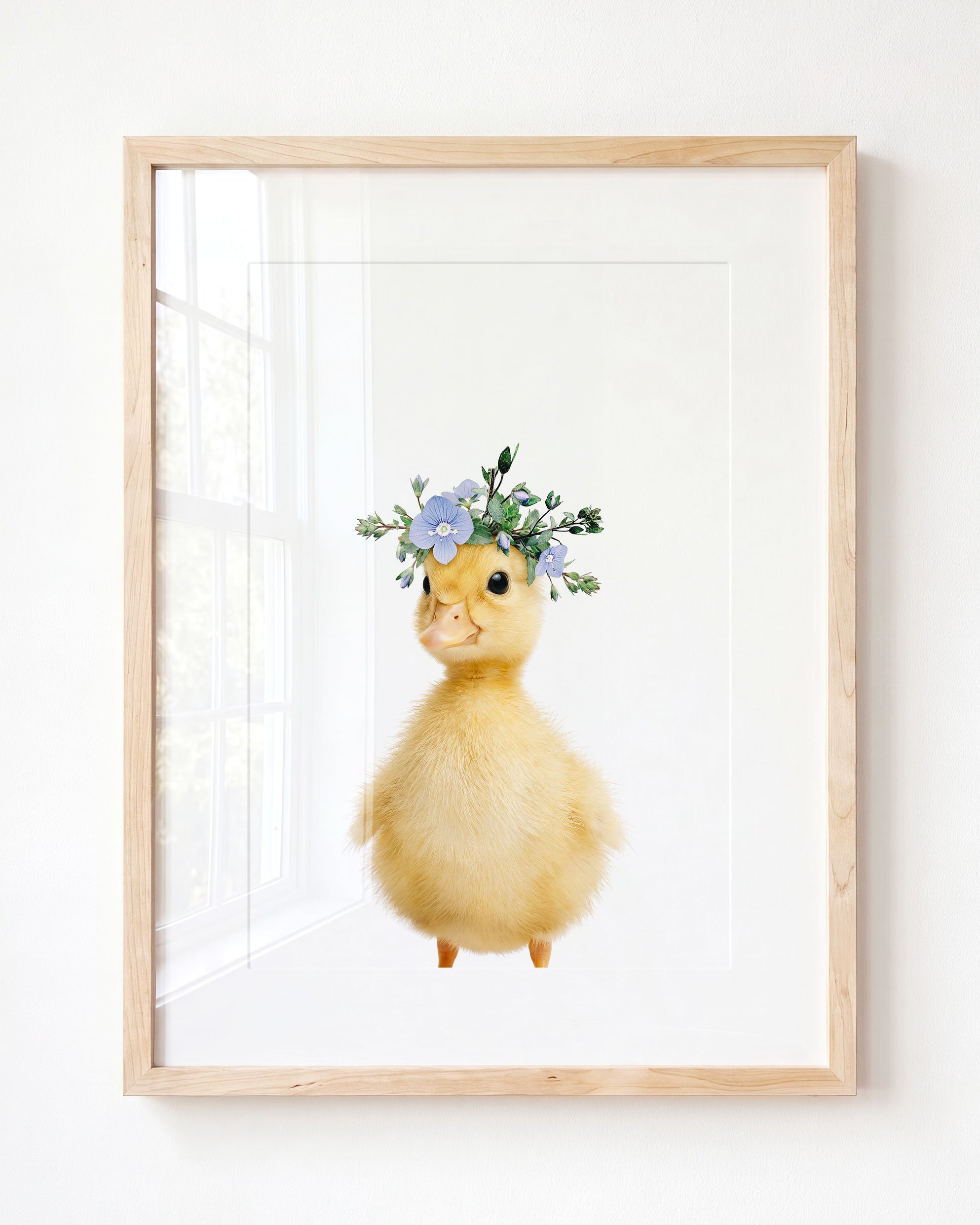 Baby Duckling