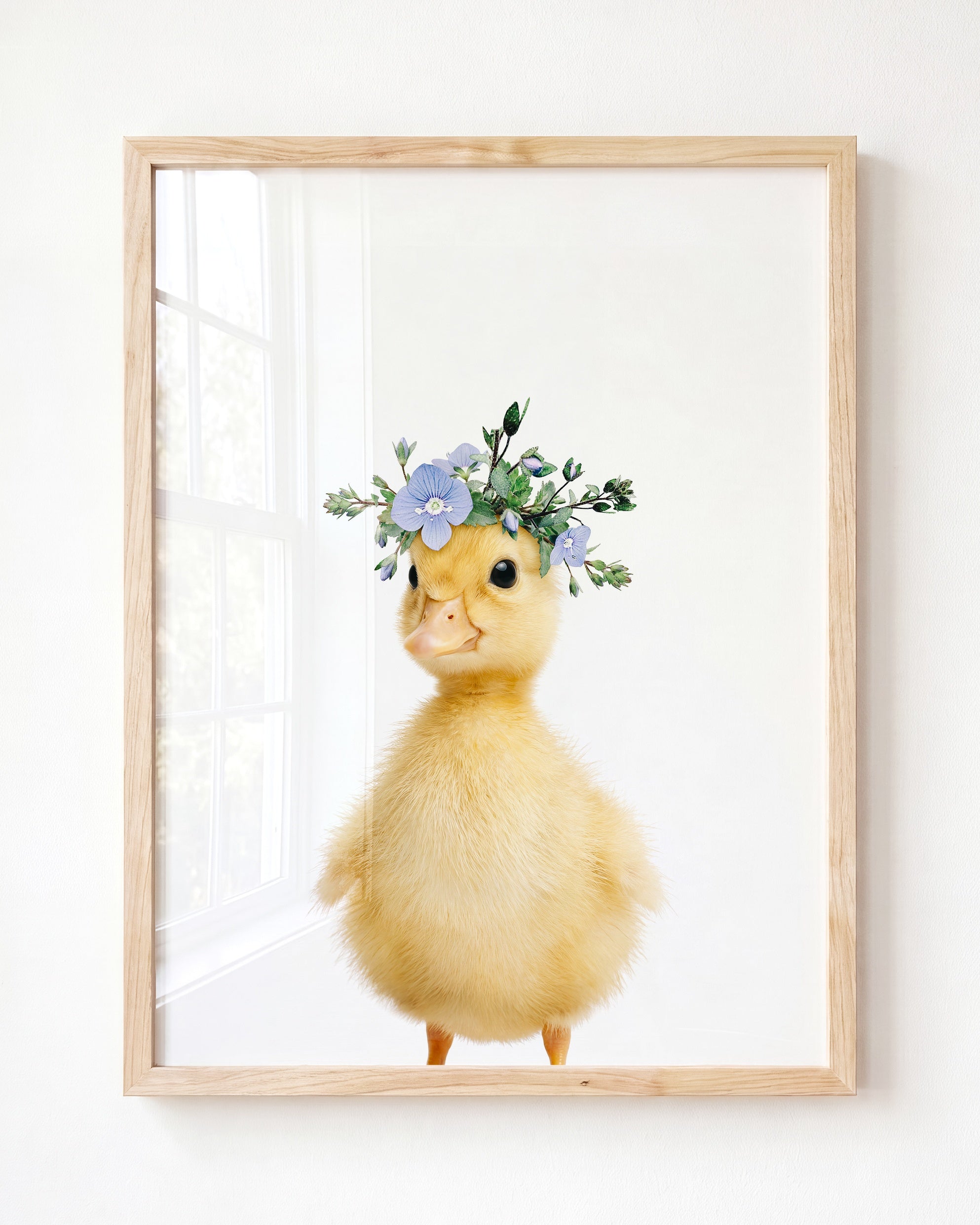 Baby Duckling