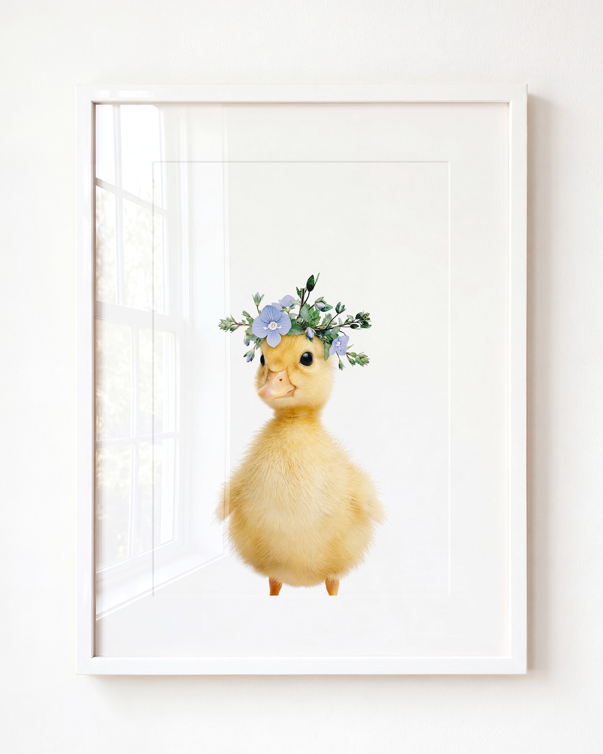 Baby Duckling