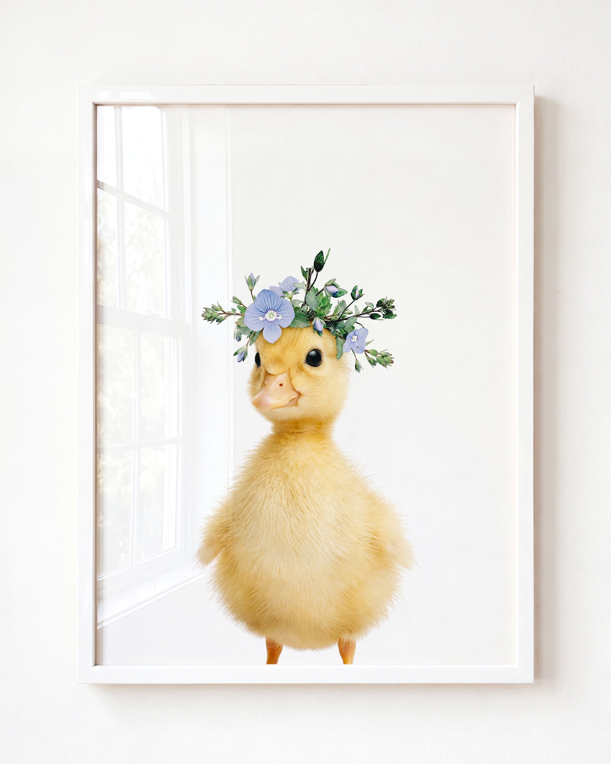 Baby Duckling