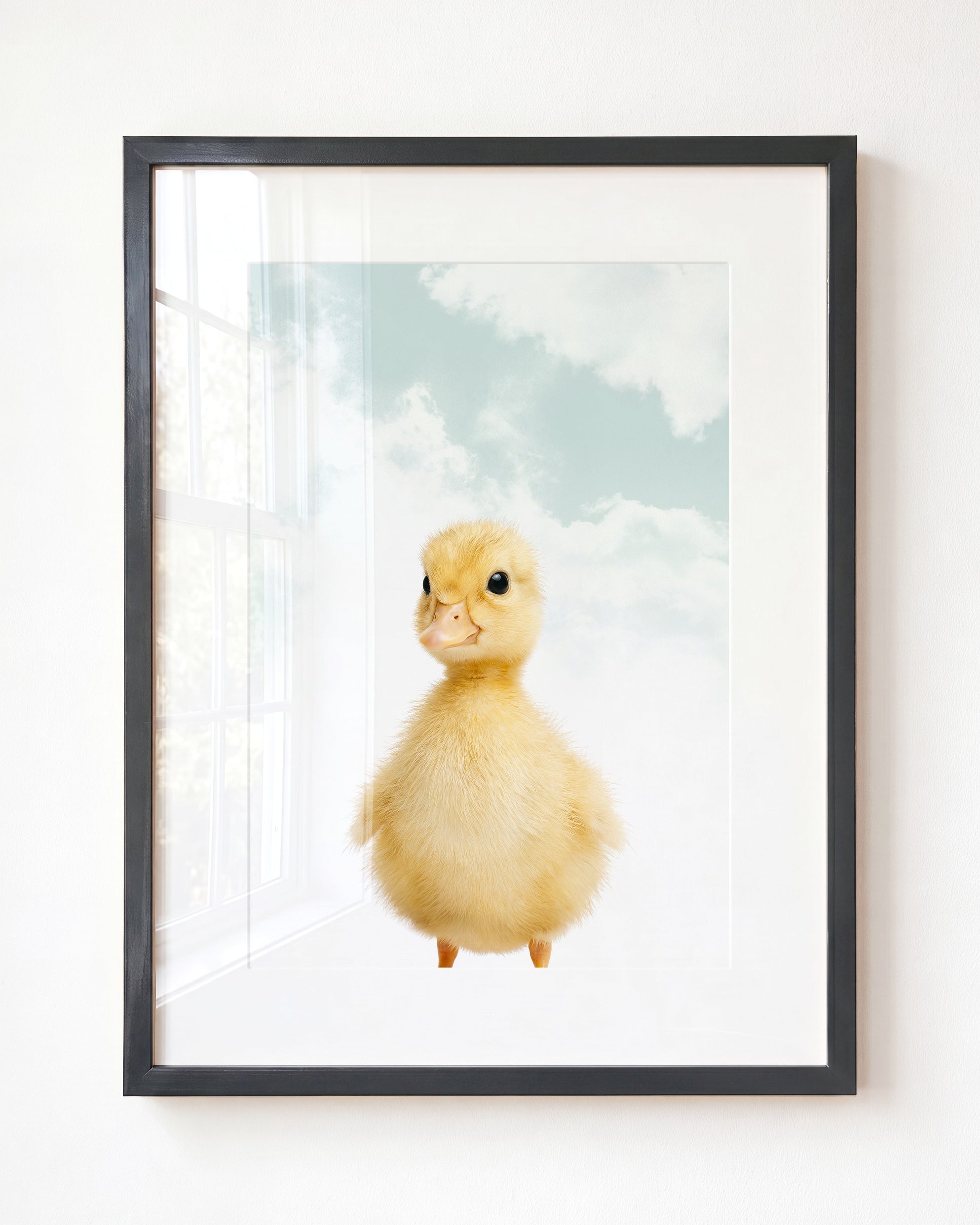 Baby Duckling