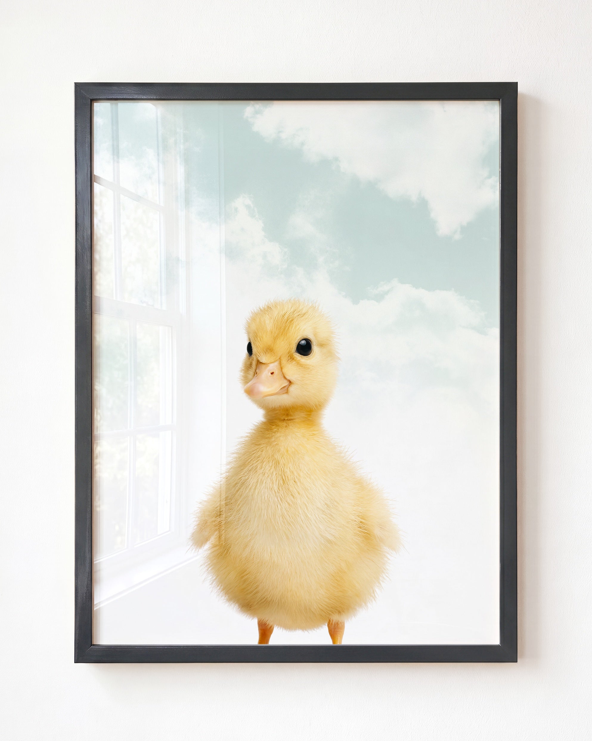 Baby Duckling