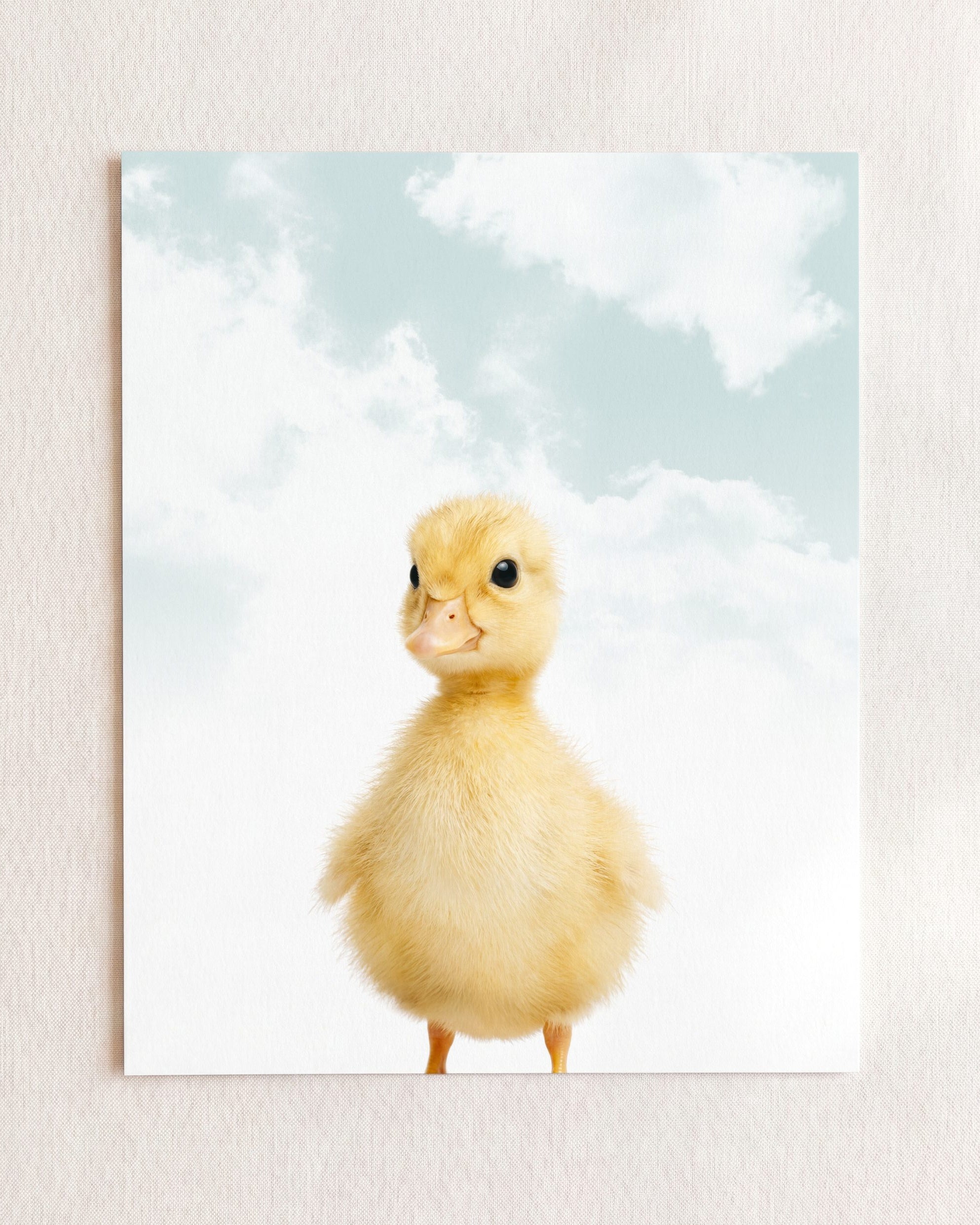 Baby Duckling