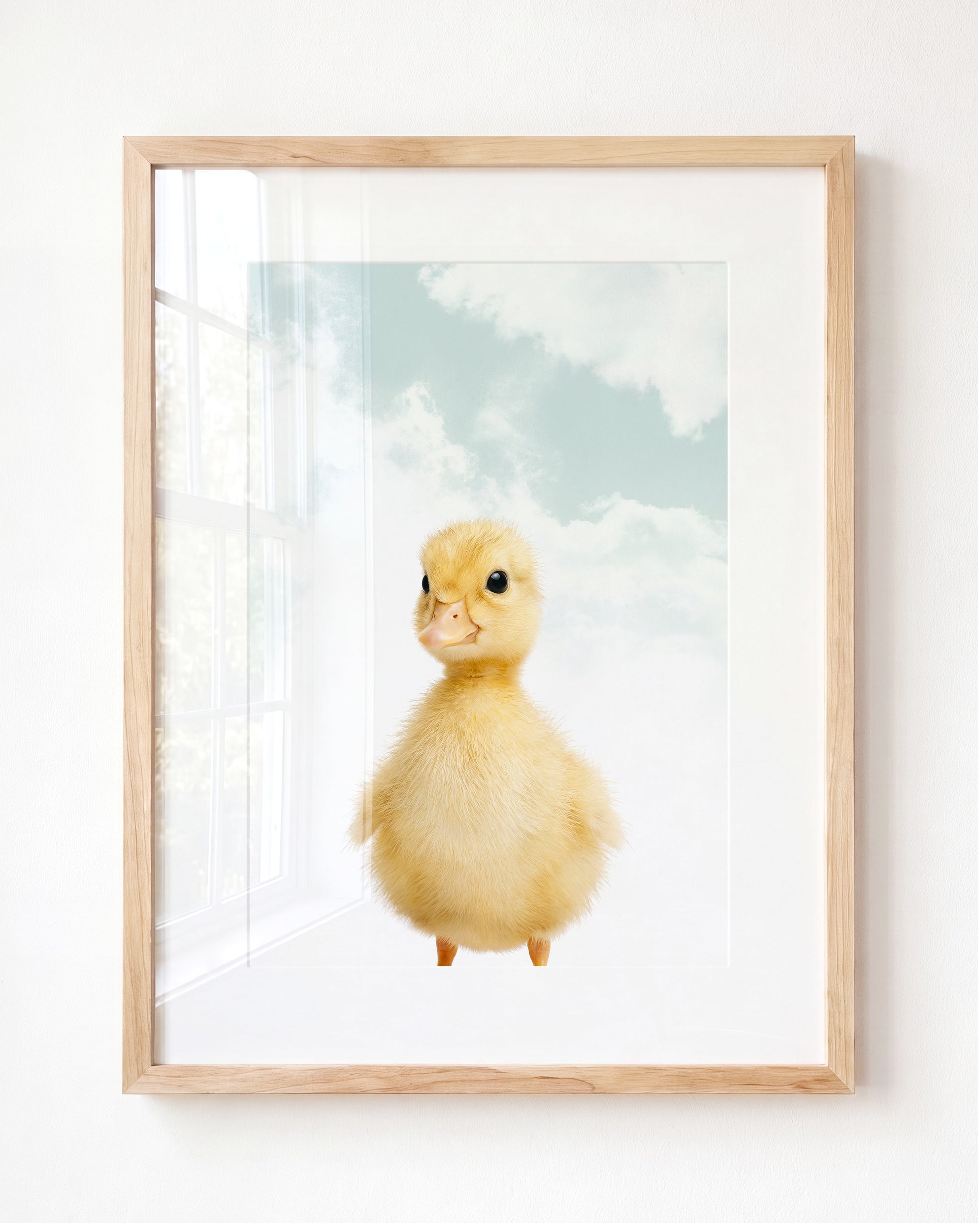 Baby Duckling