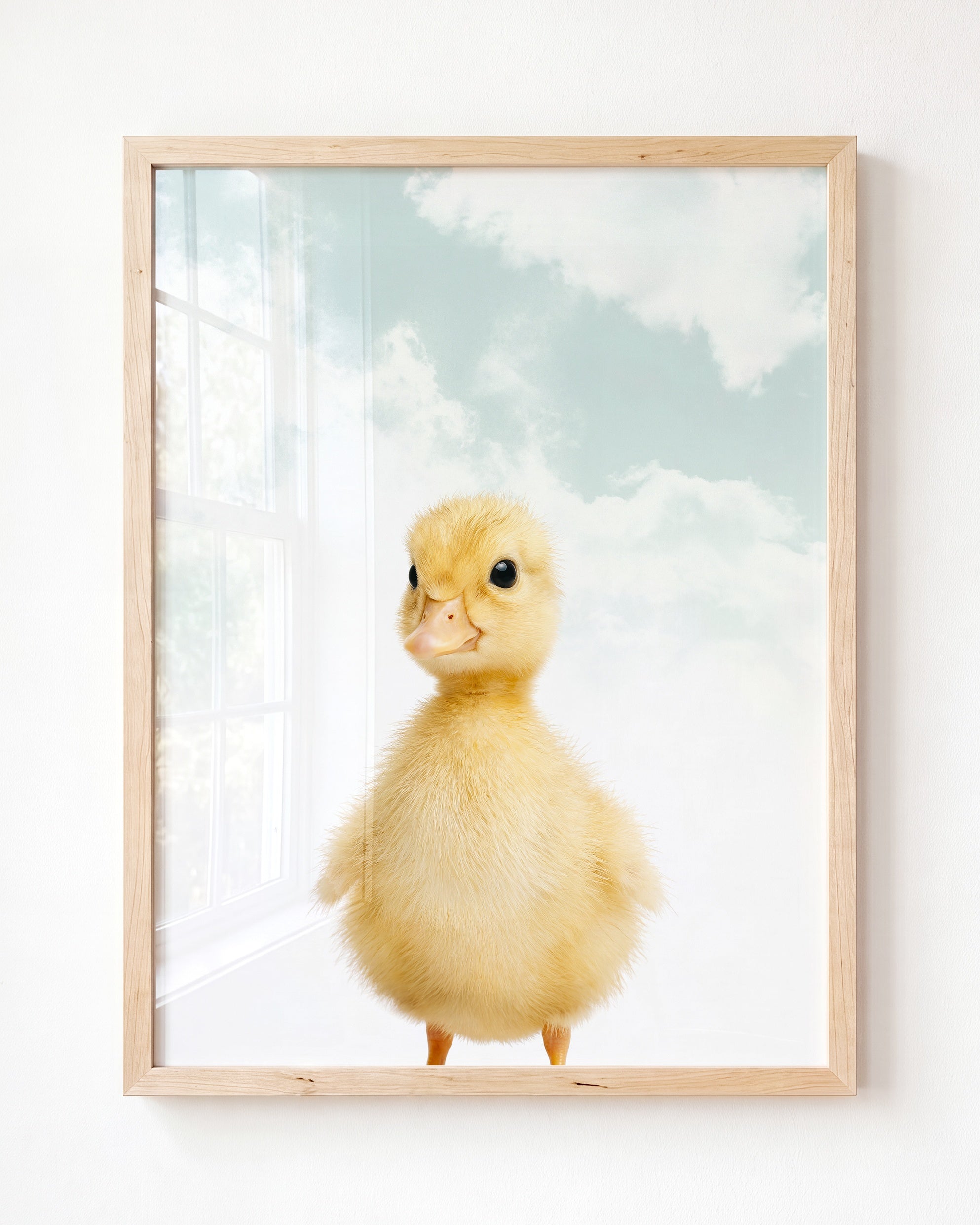 Baby Duckling