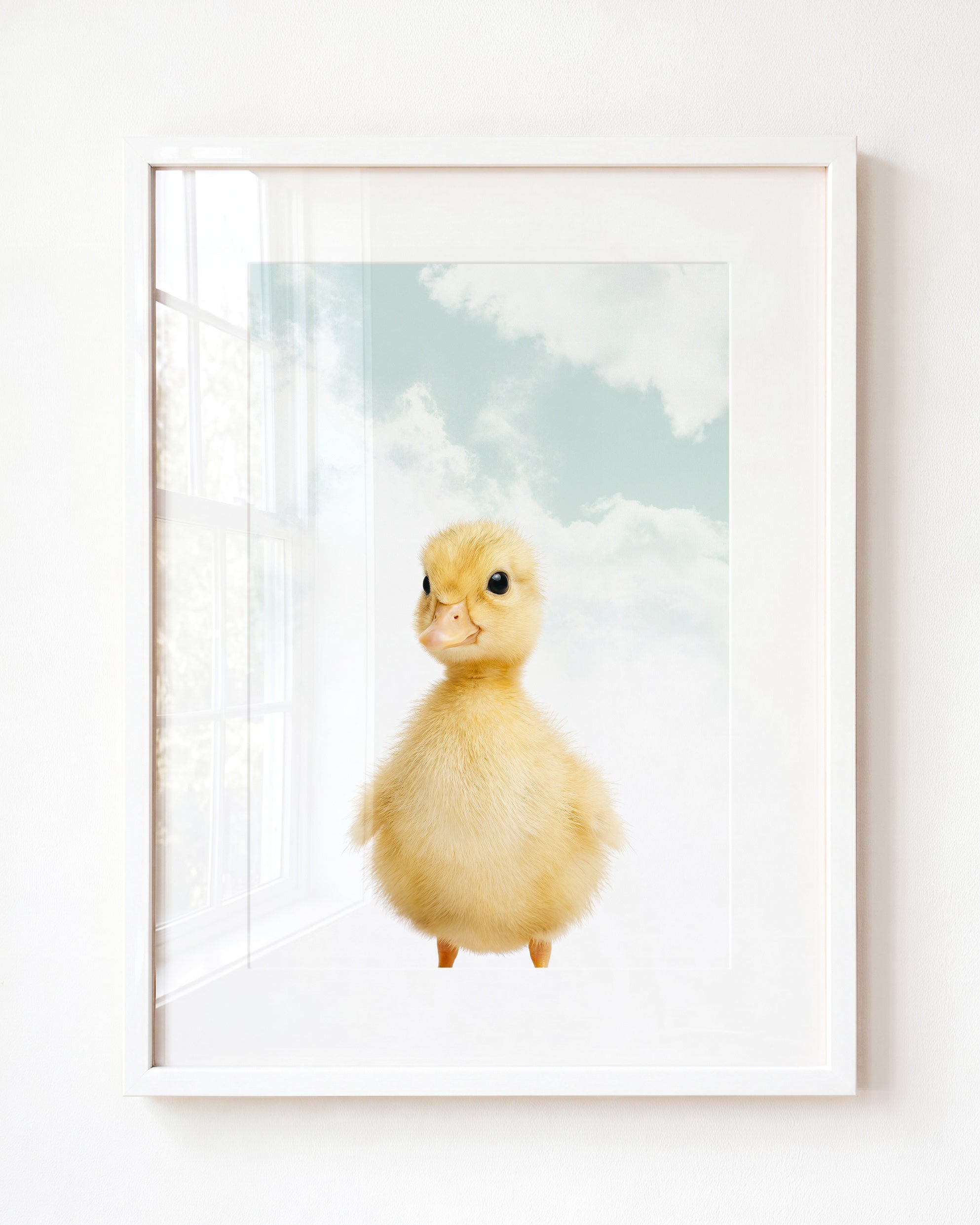 Baby Duckling