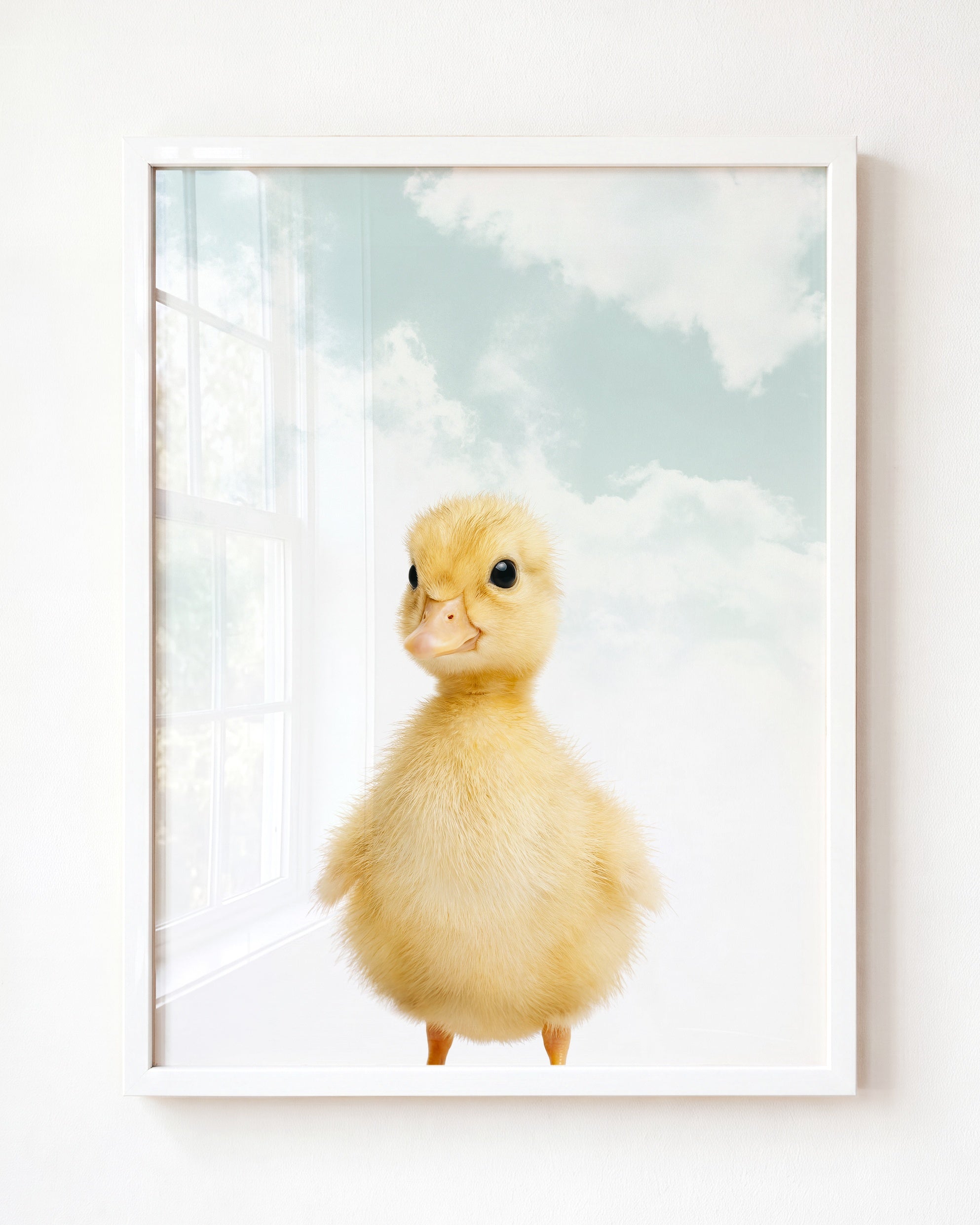 Baby Duckling