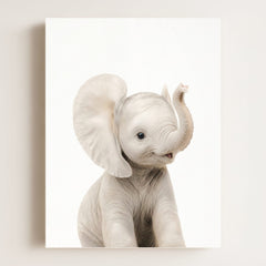 Baby Elephant