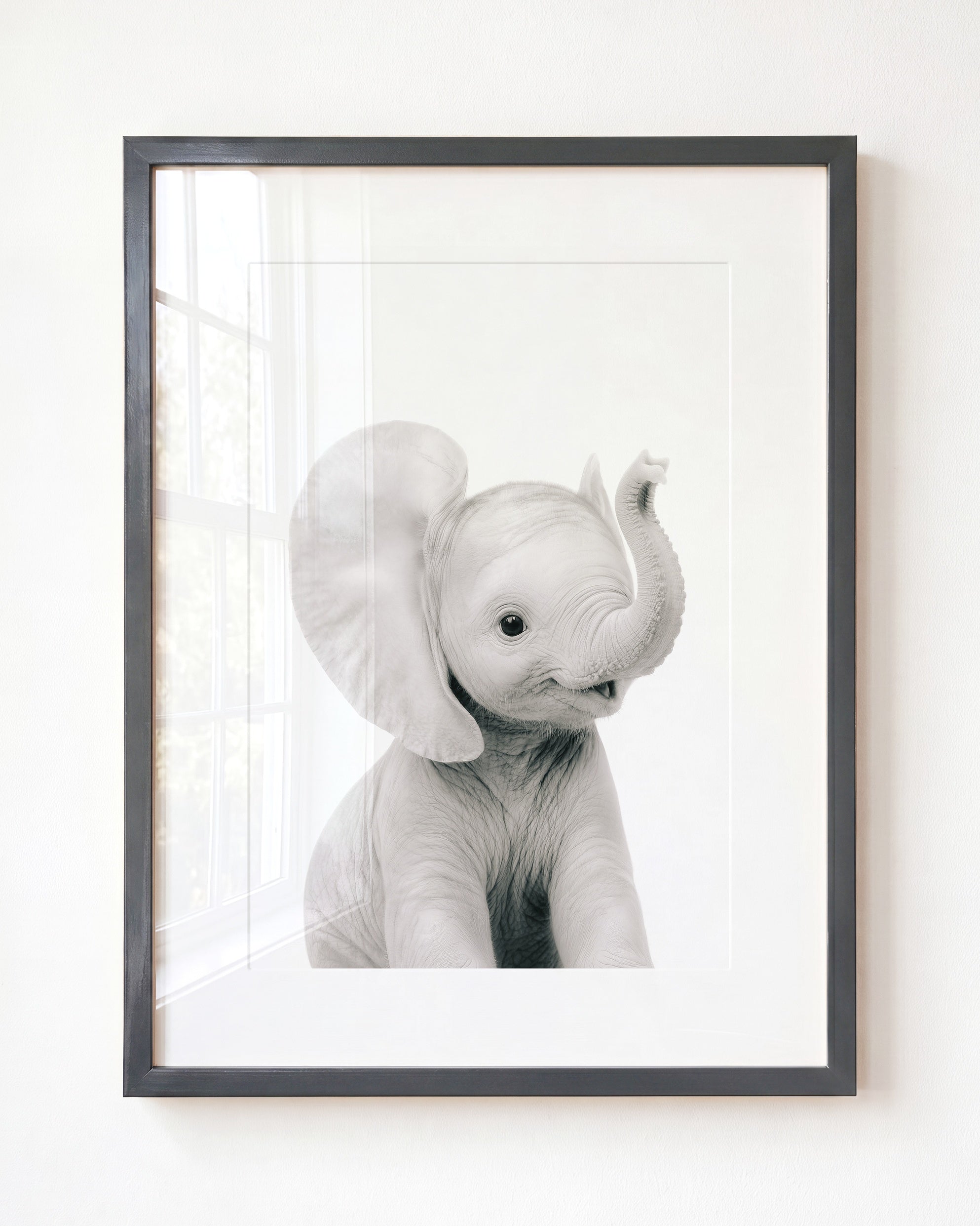 Baby Elephant