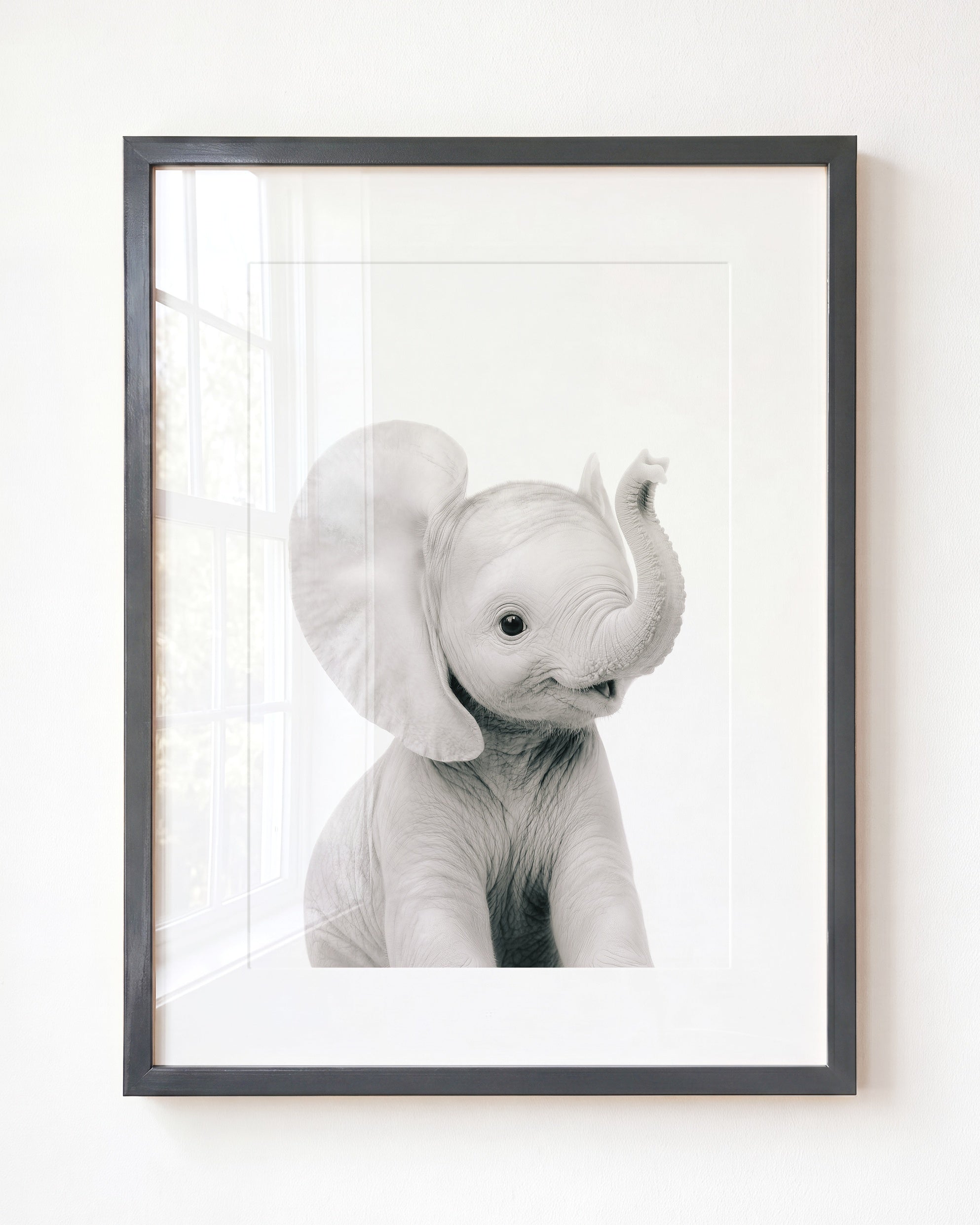 Baby Elephant
