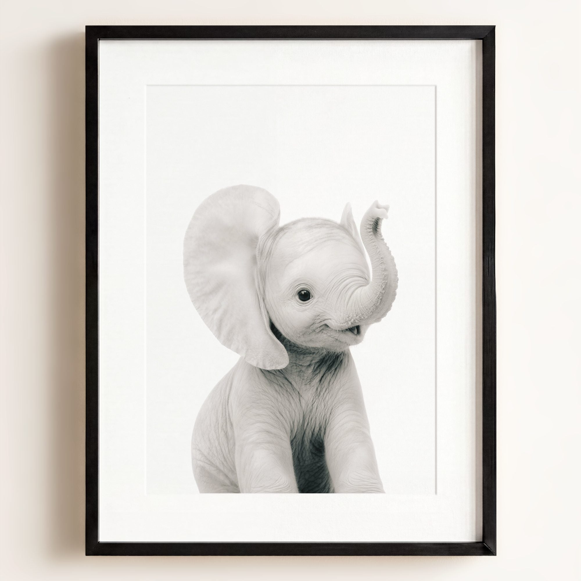 Baby Elephant