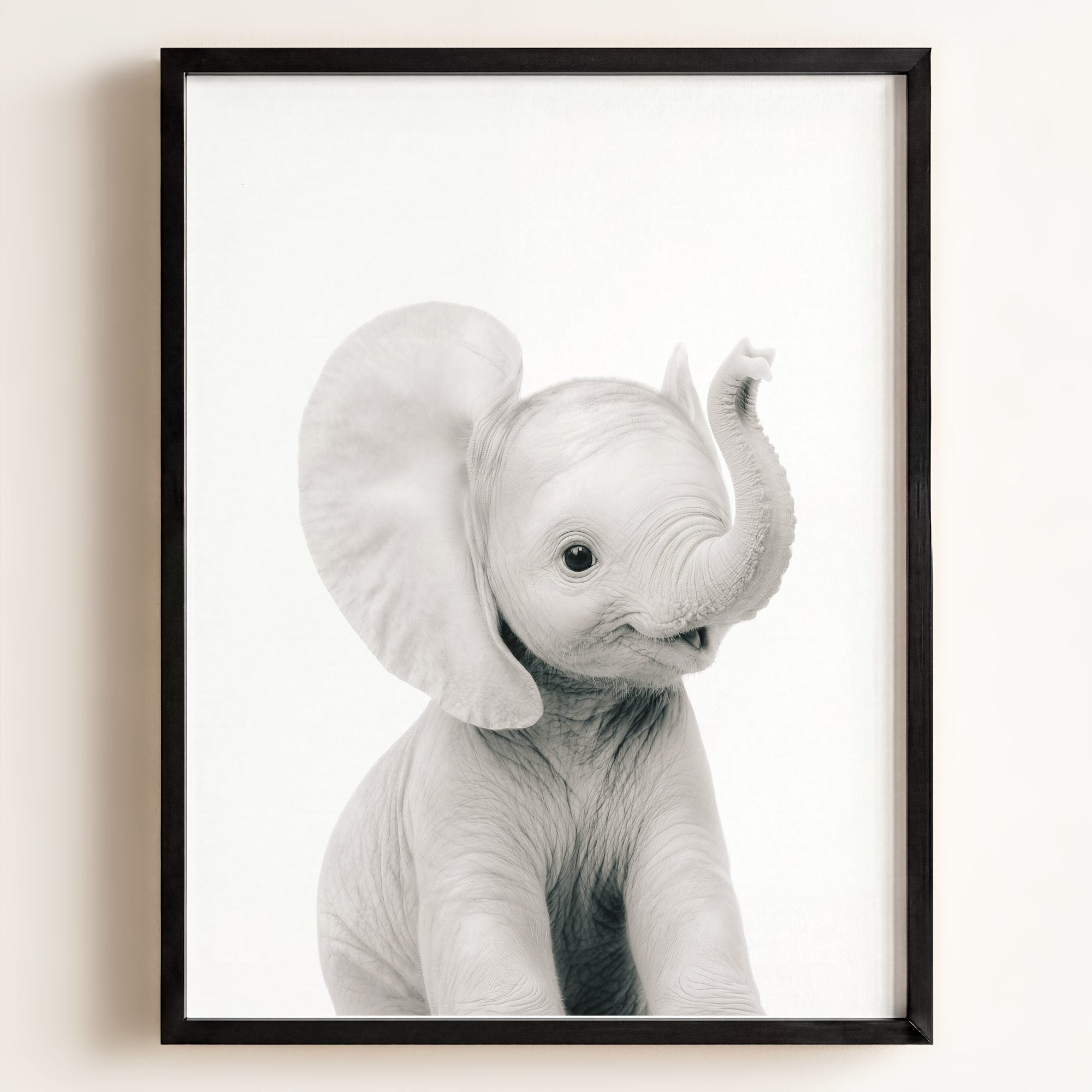 Baby Elephant