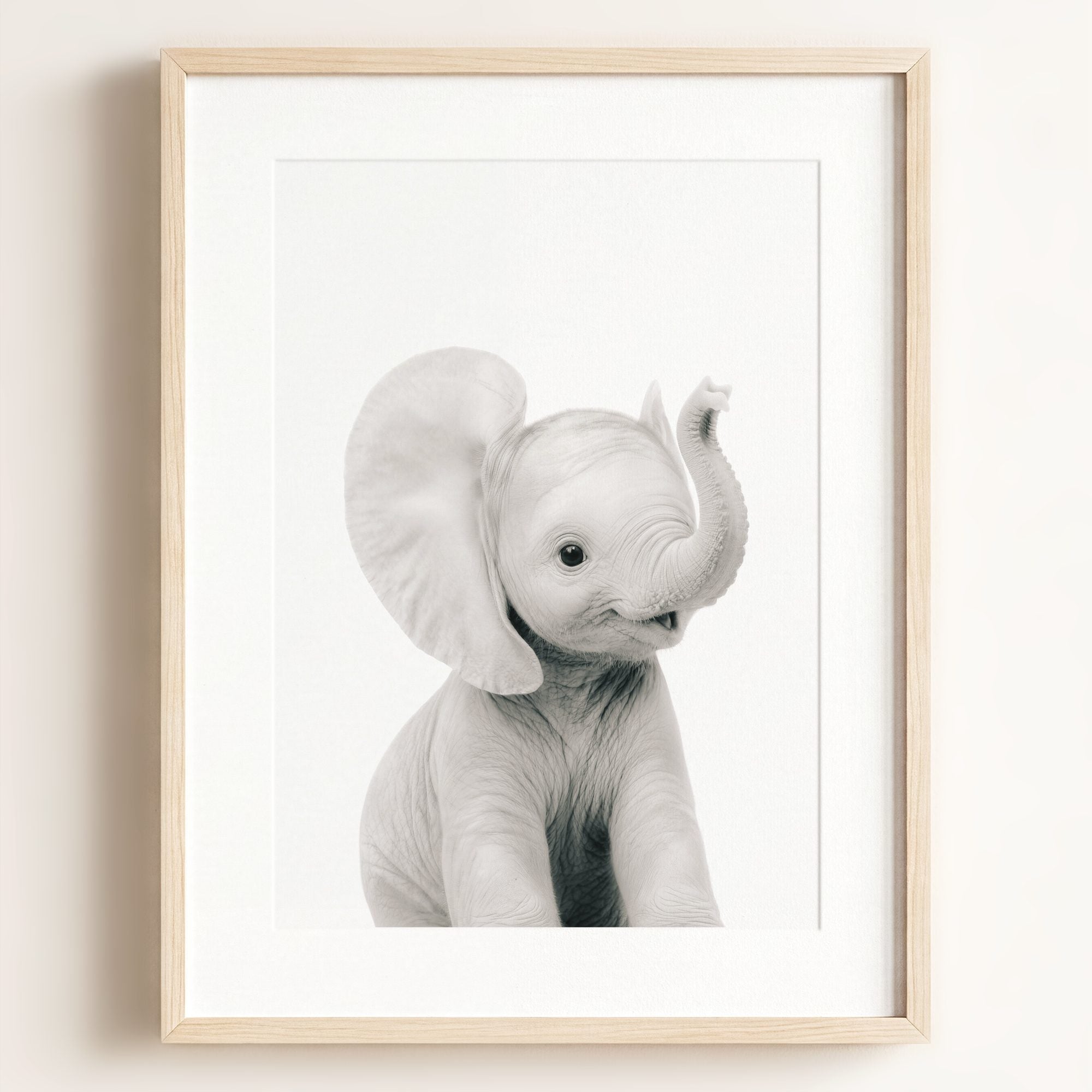 Baby Elephant