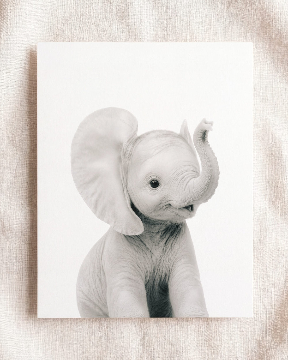 Baby Elephant