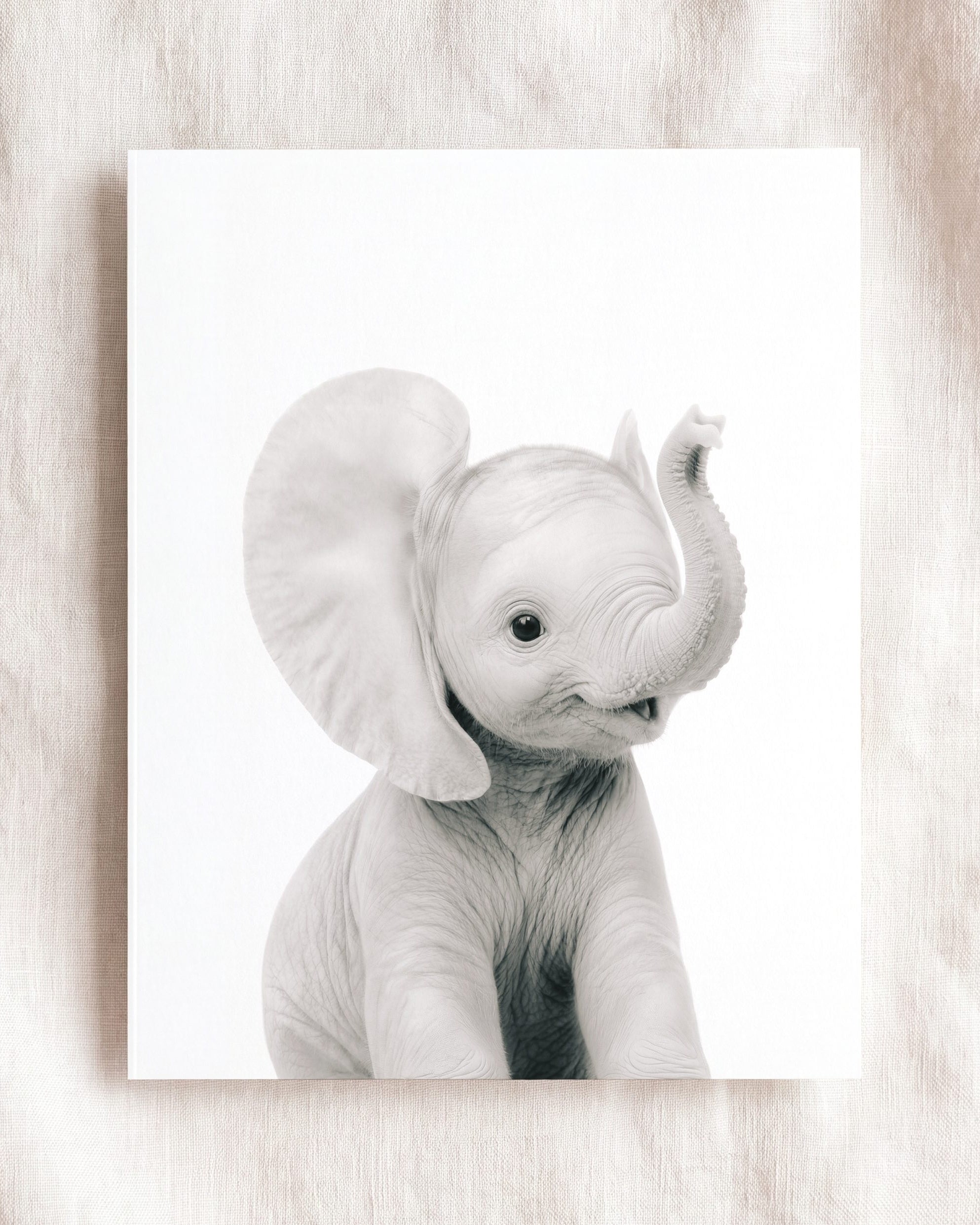 Baby Elephant