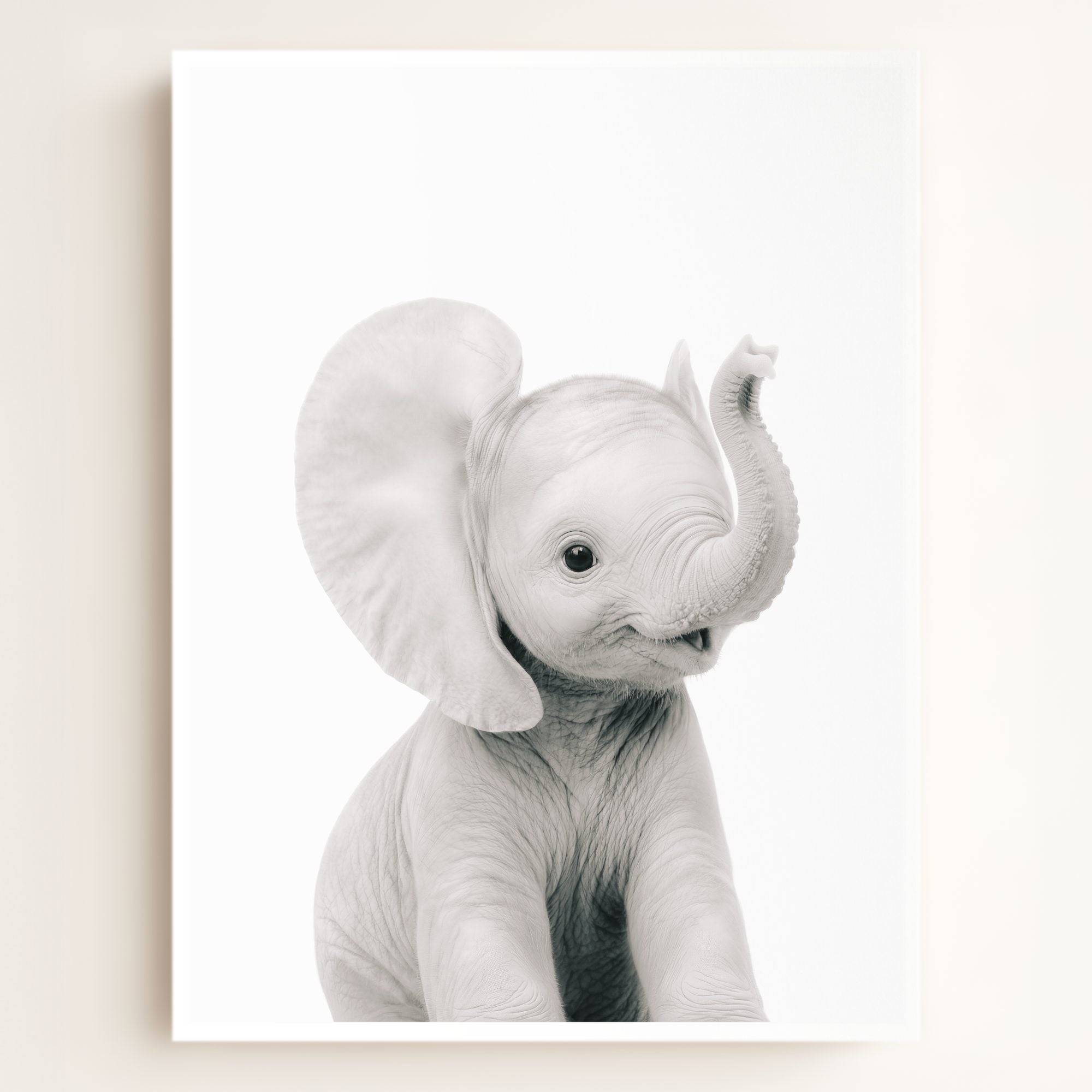 Baby Elephant