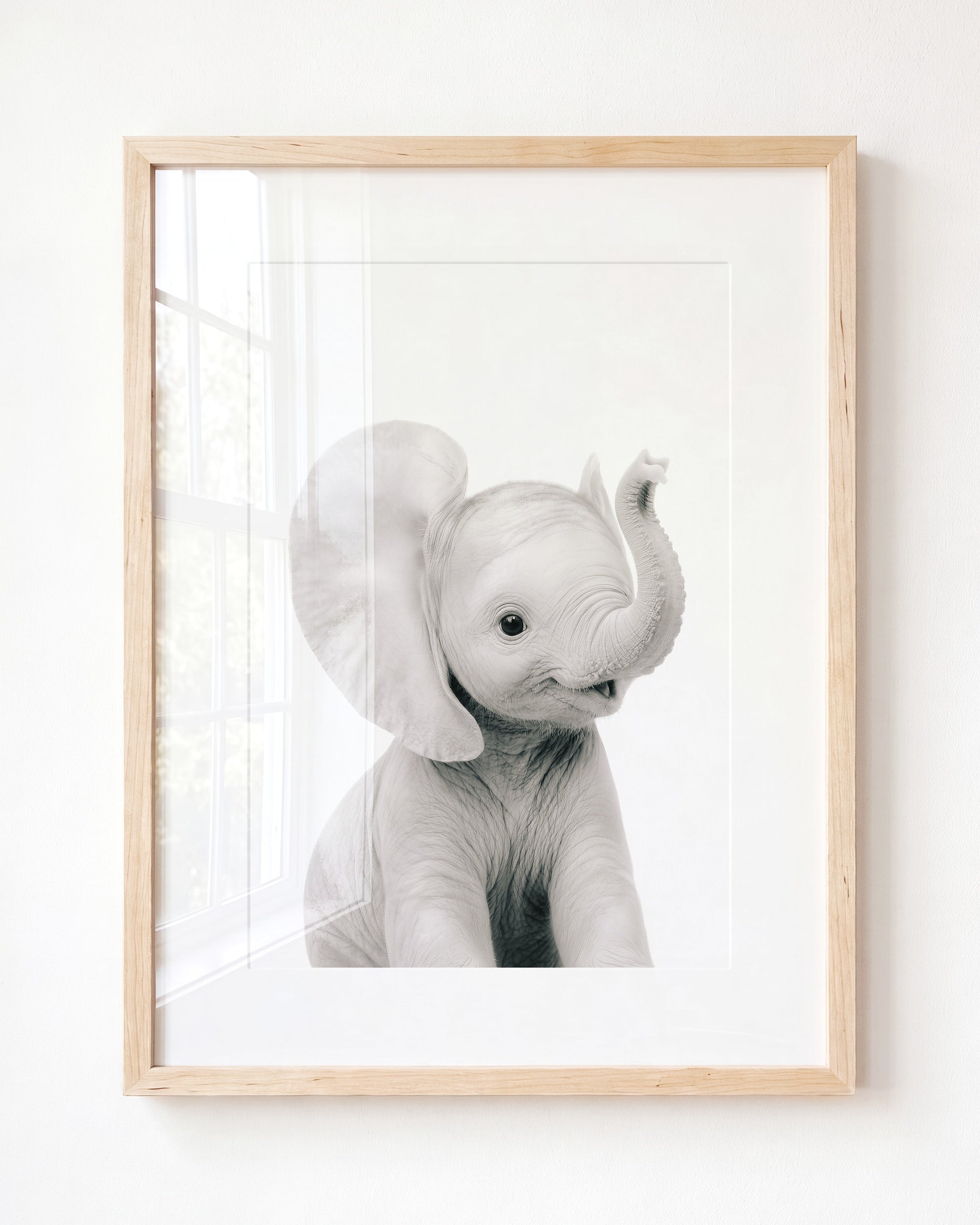 Baby Elephant