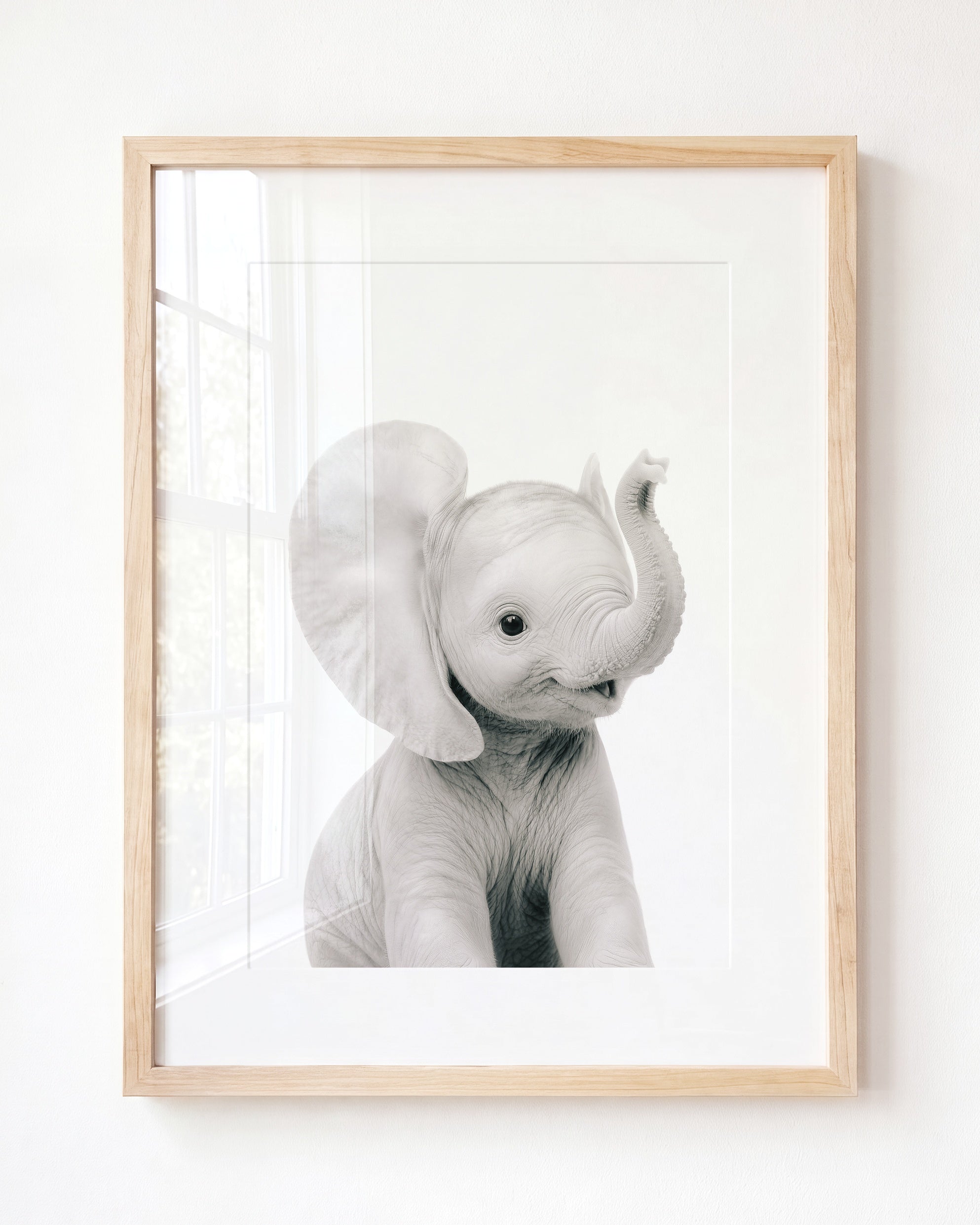 Baby Elephant