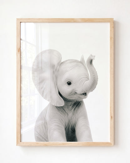 Baby Elephant - Framed Art
