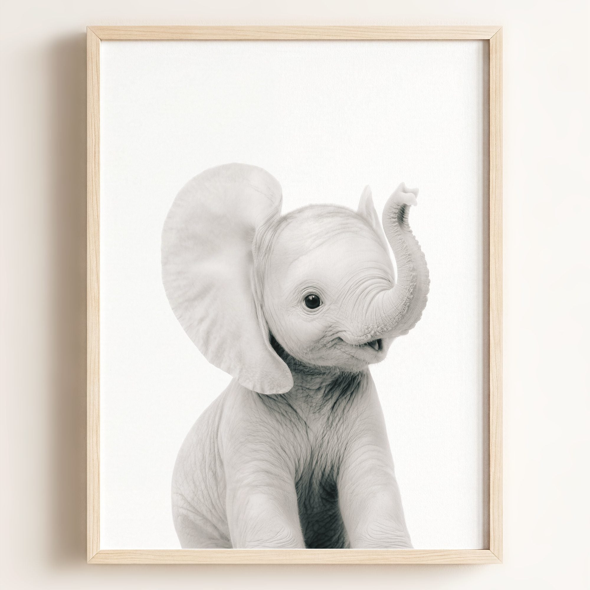 Baby Elephant