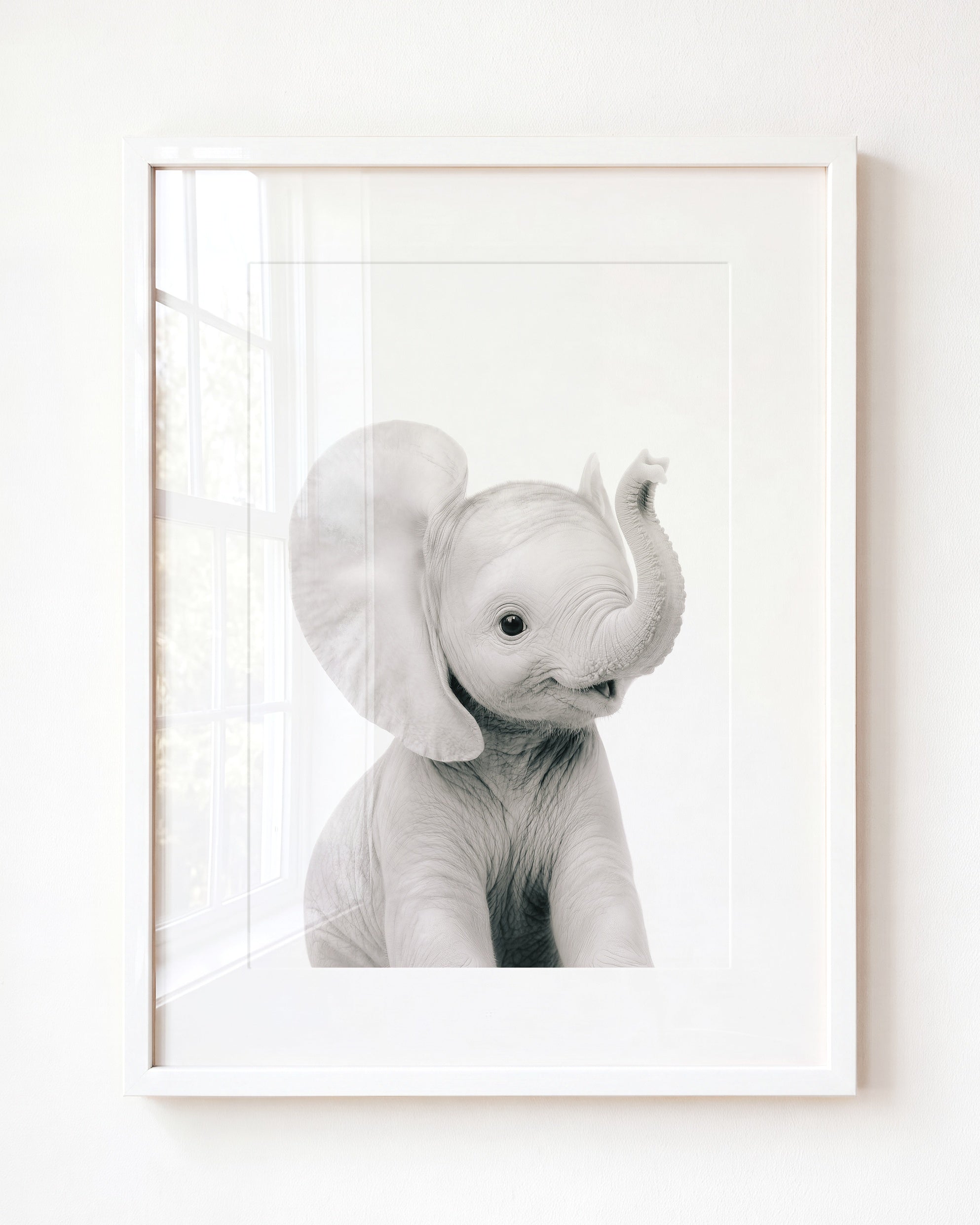 Baby Elephant