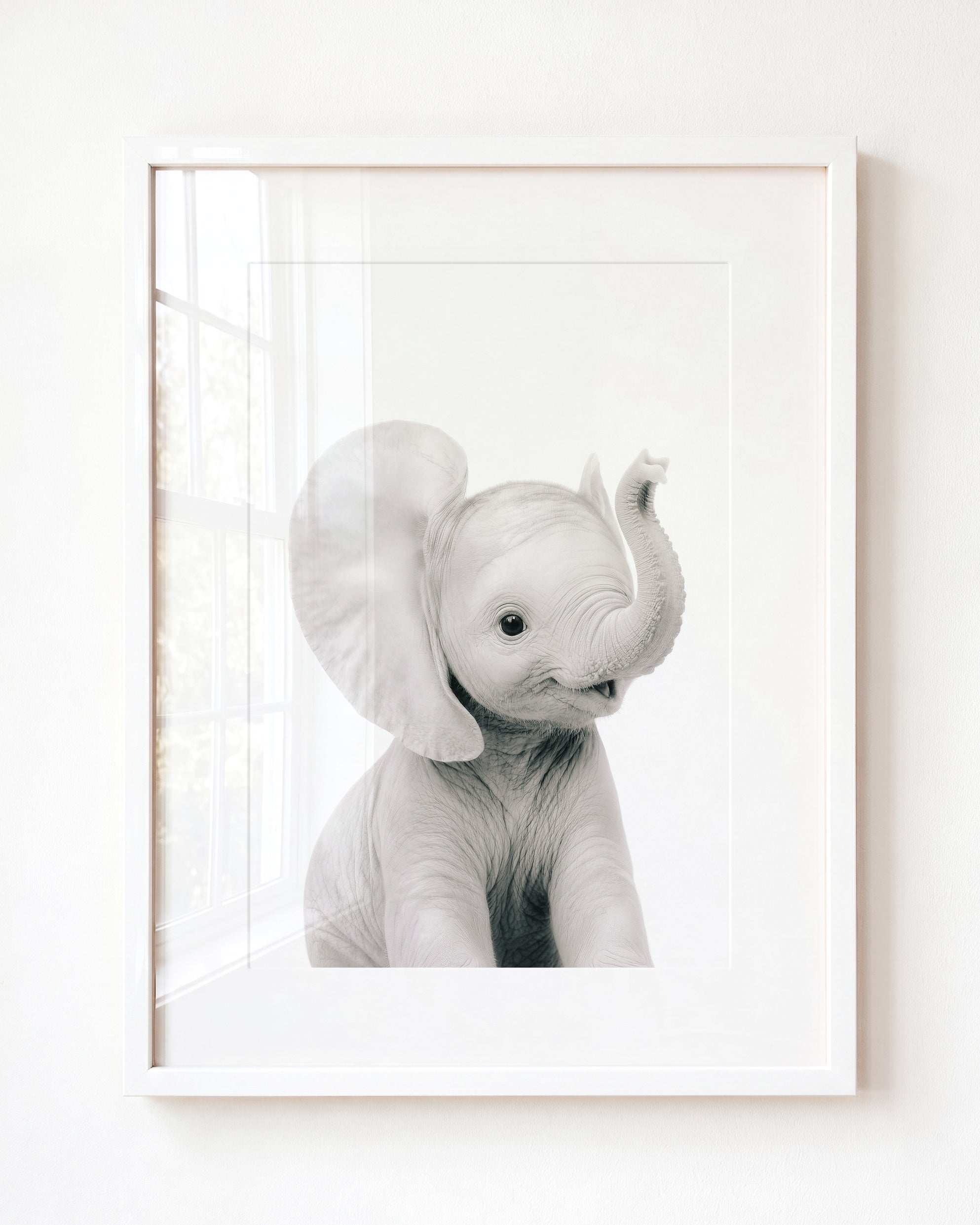 Baby Elephant