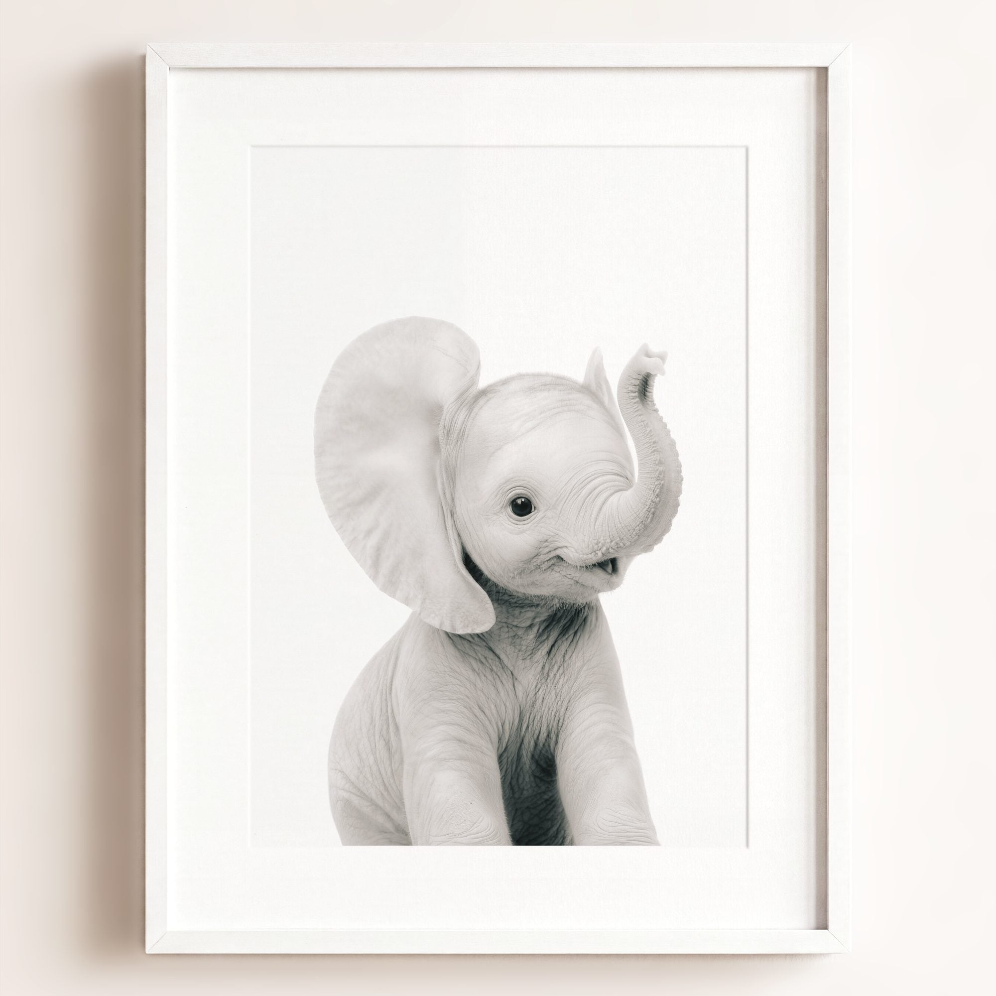 Baby Elephant
