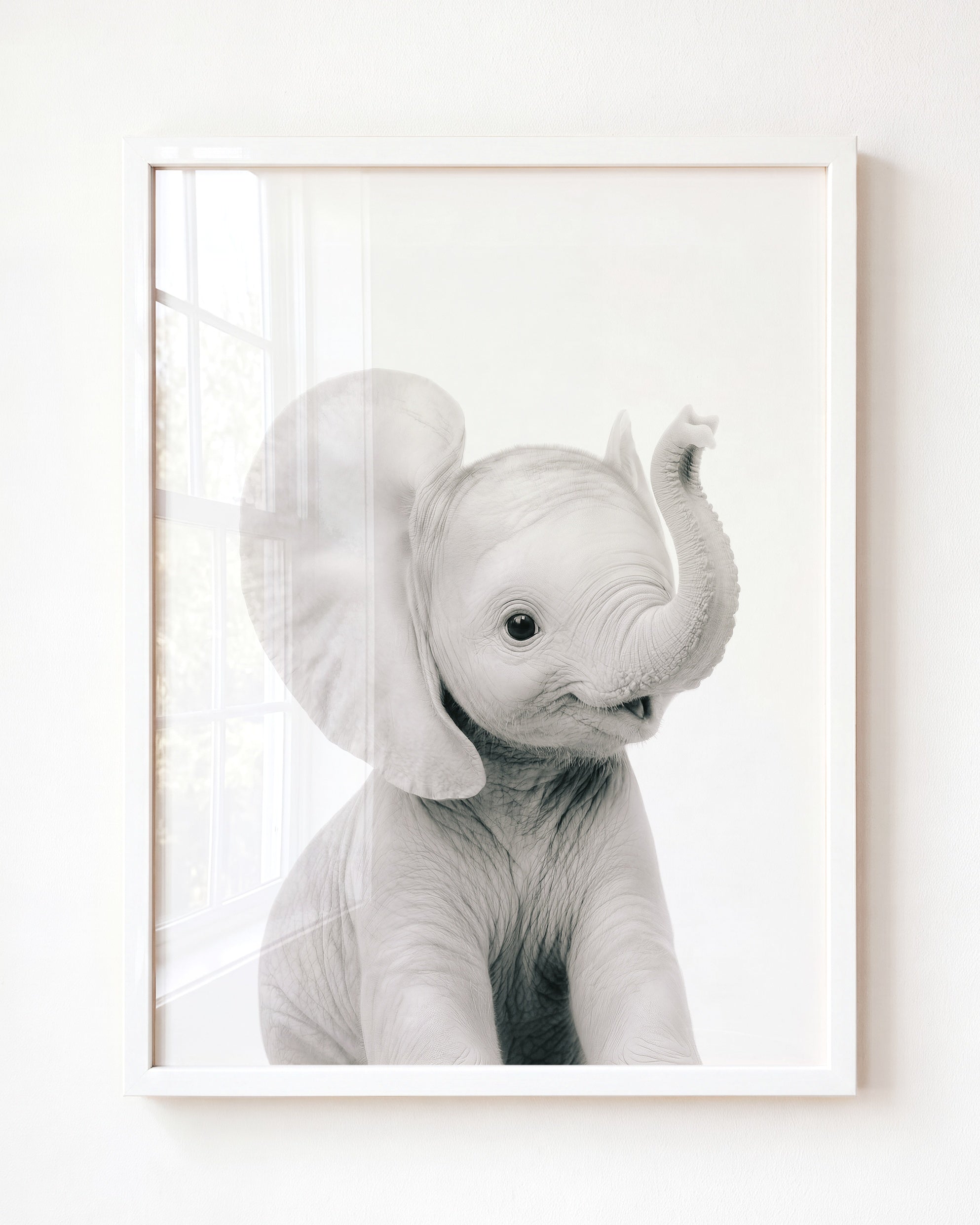 Baby Elephant
