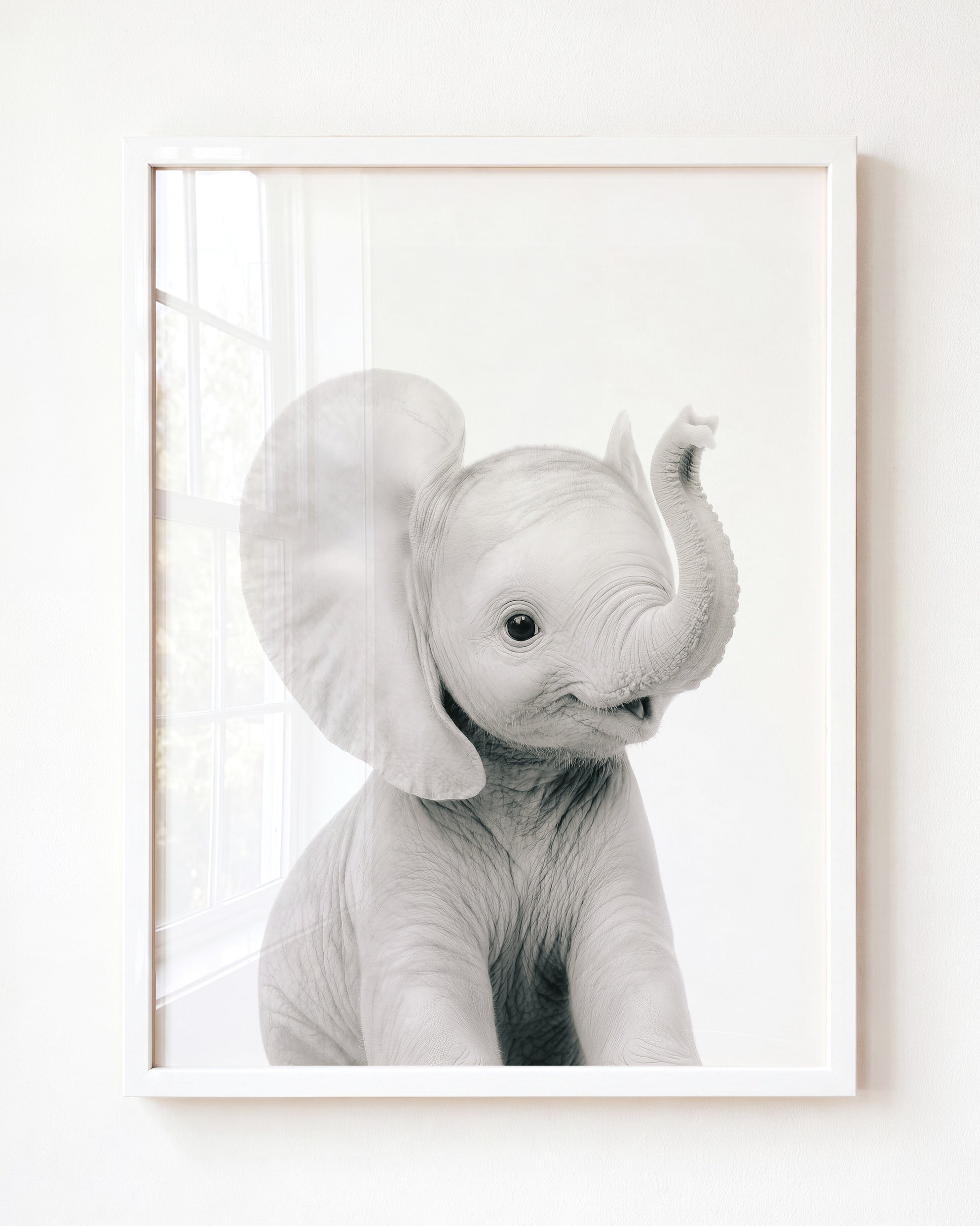 Baby Elephant