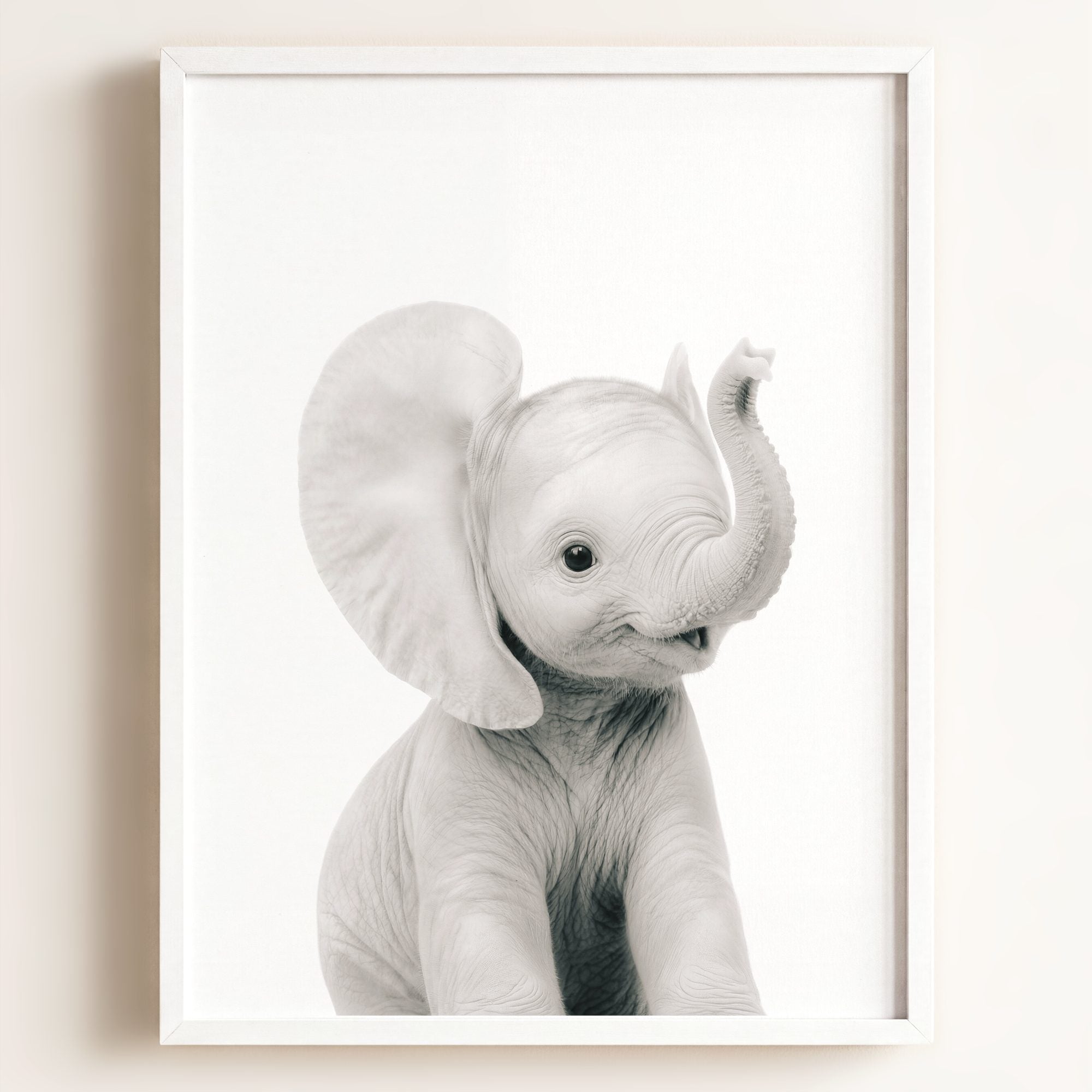 Baby Elephant