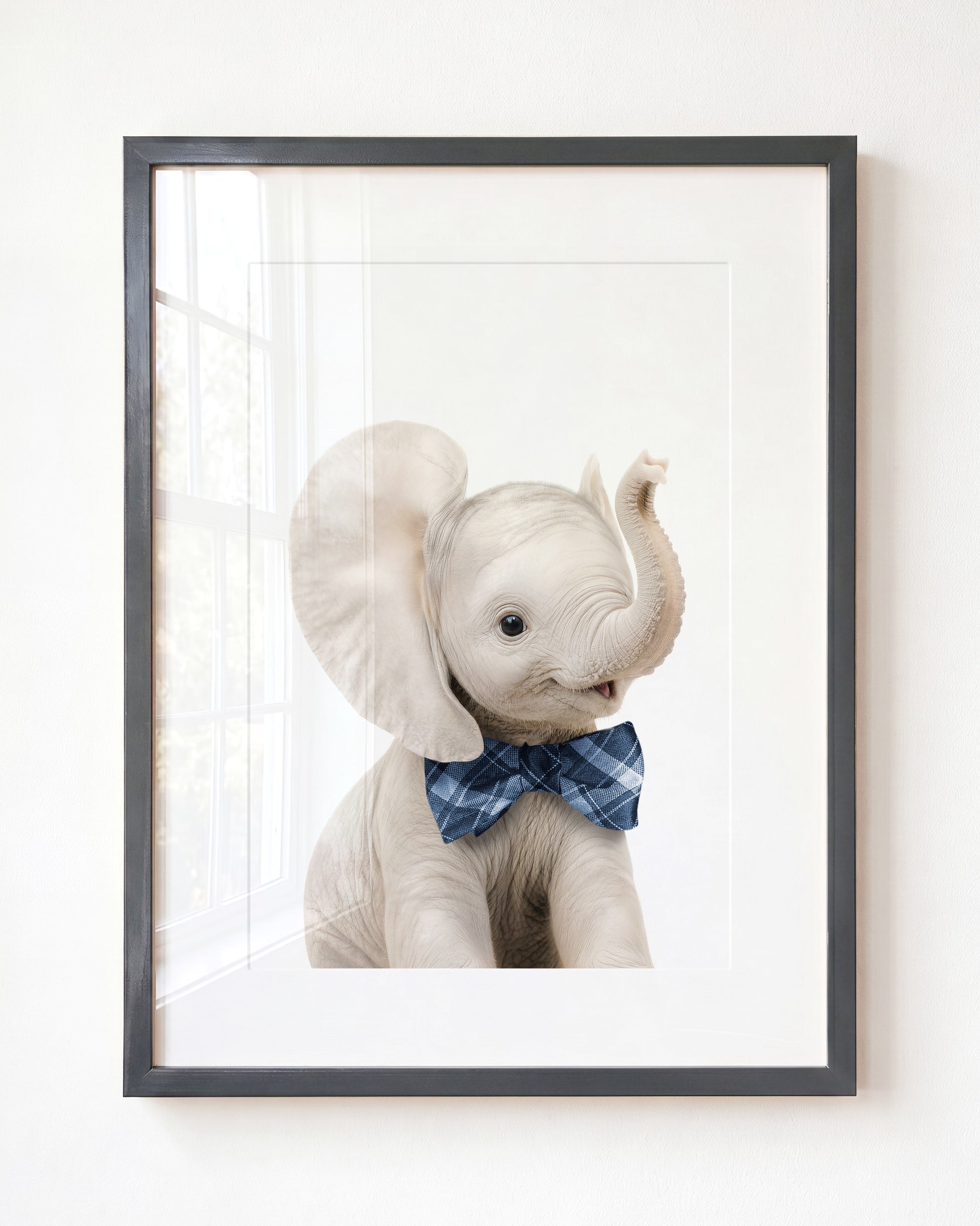 Baby Elephant