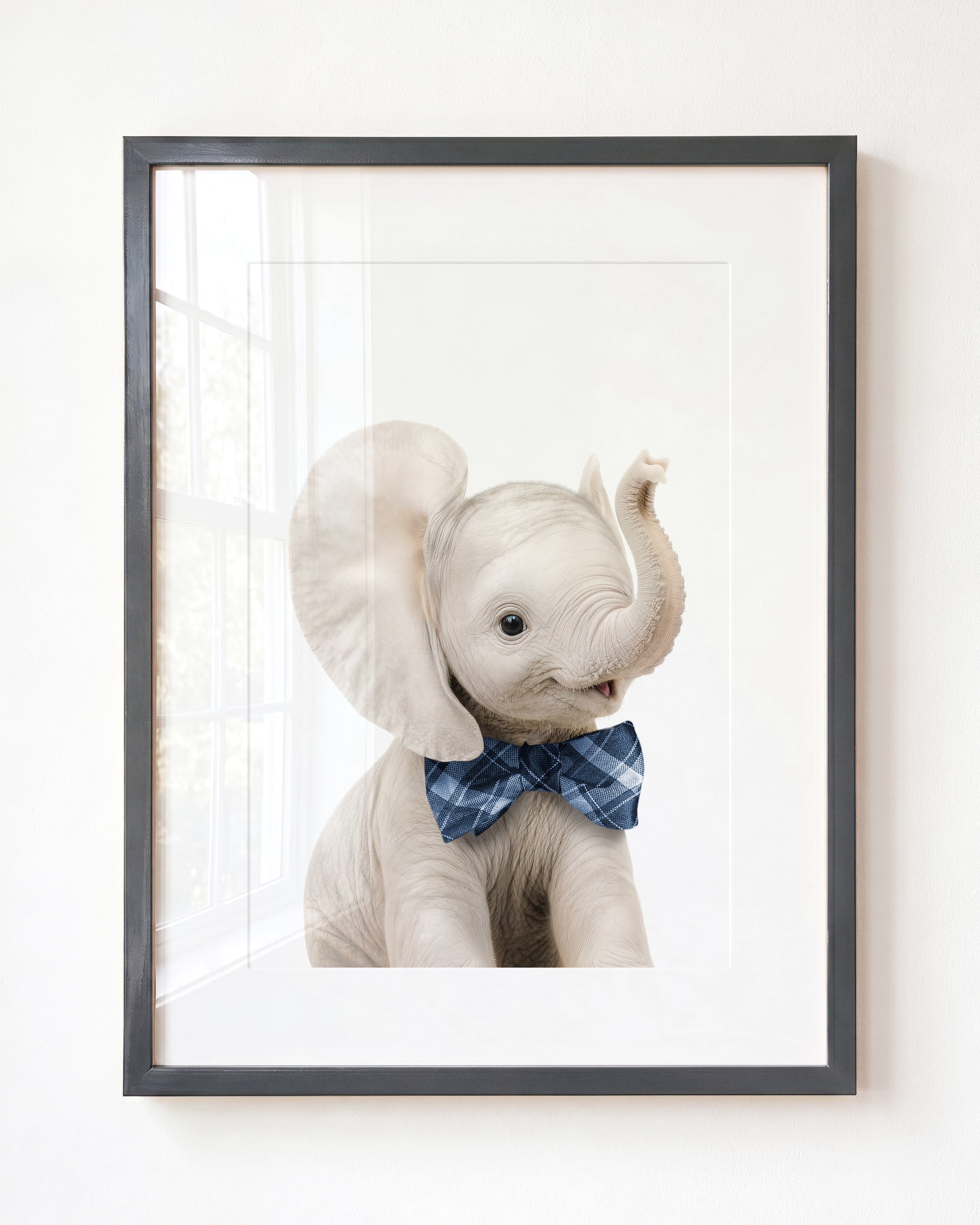 Baby Elephant