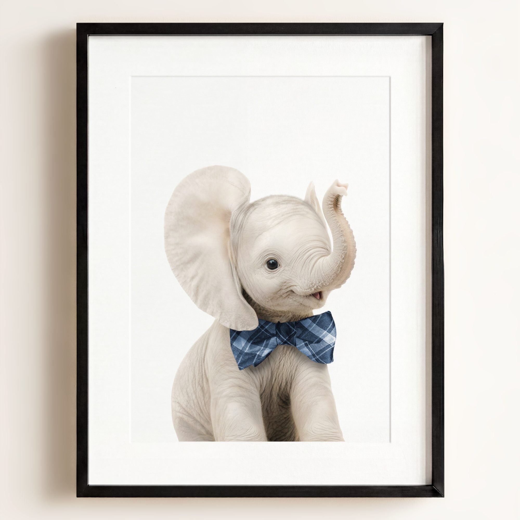 Baby Elephant