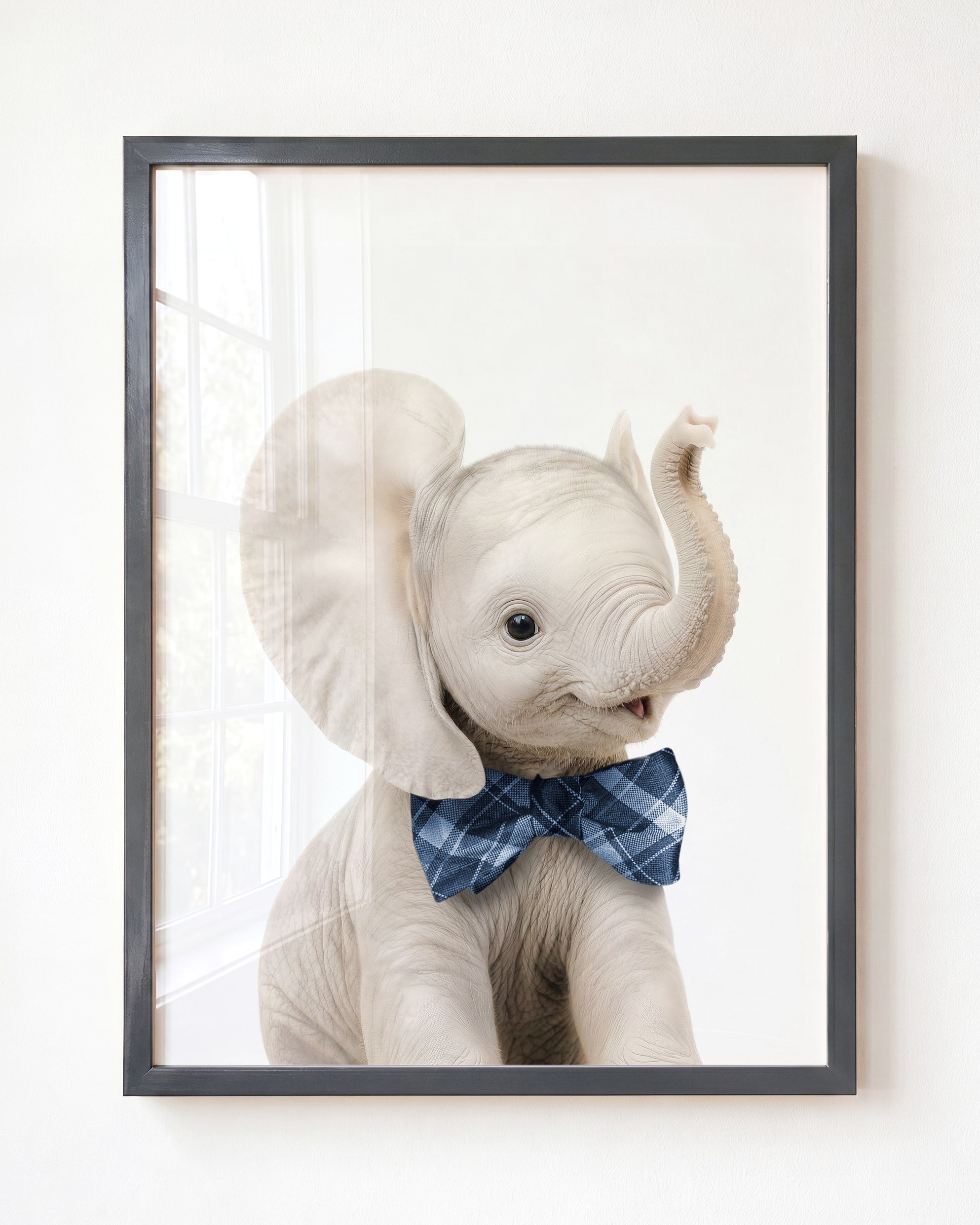 Baby Elephant