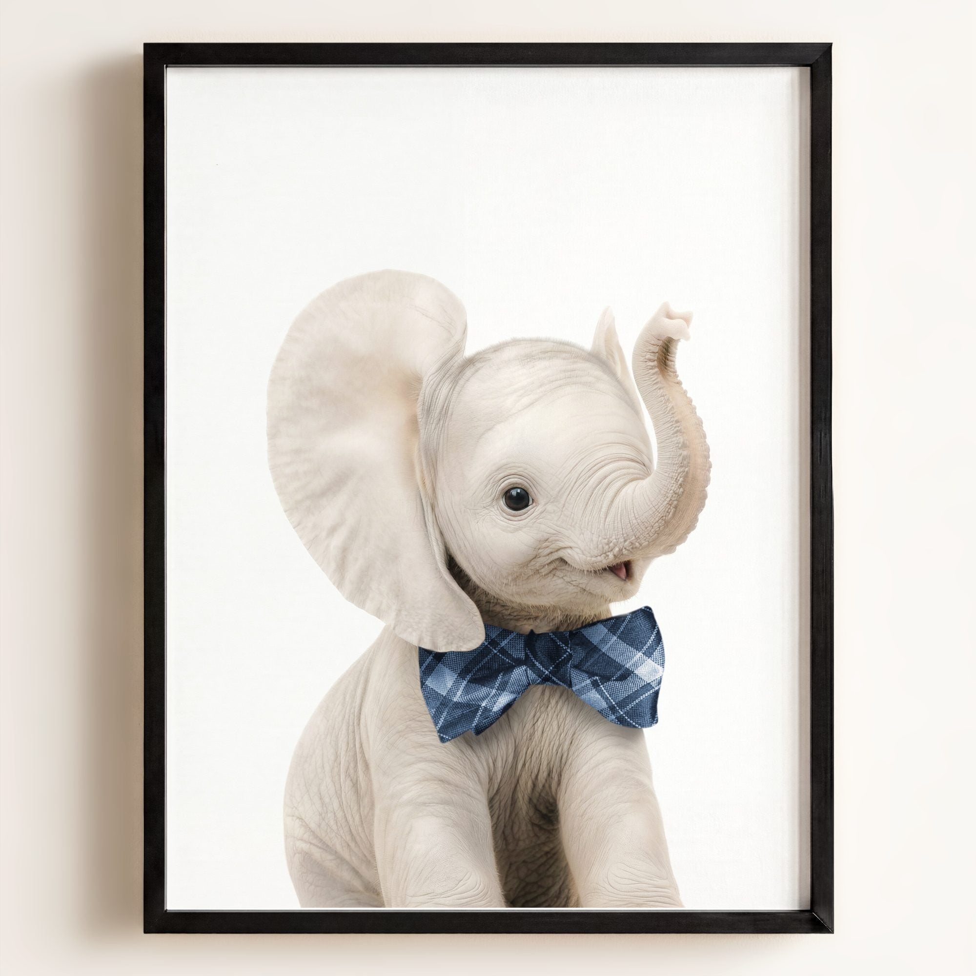 Baby Elephant