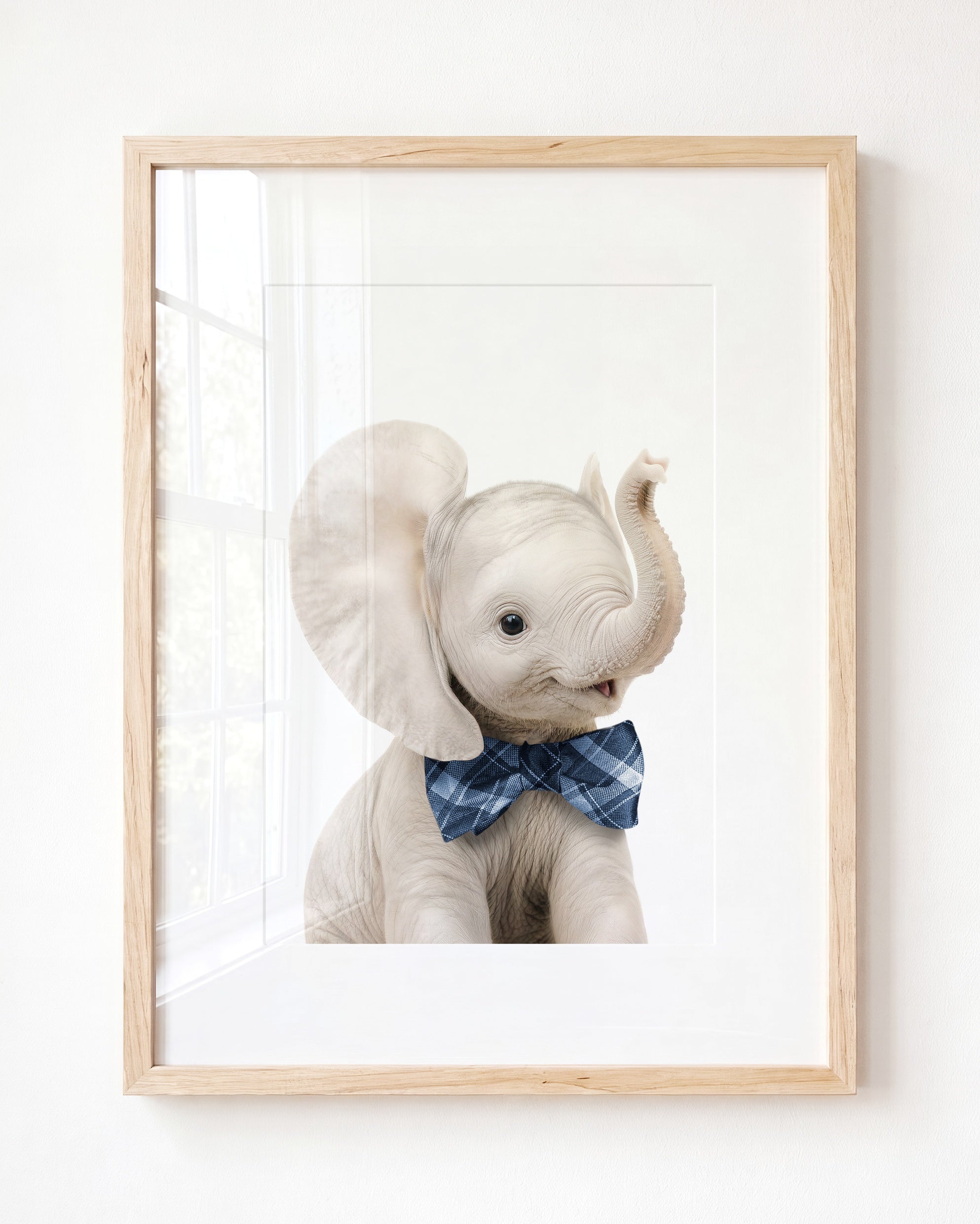 Baby Elephant