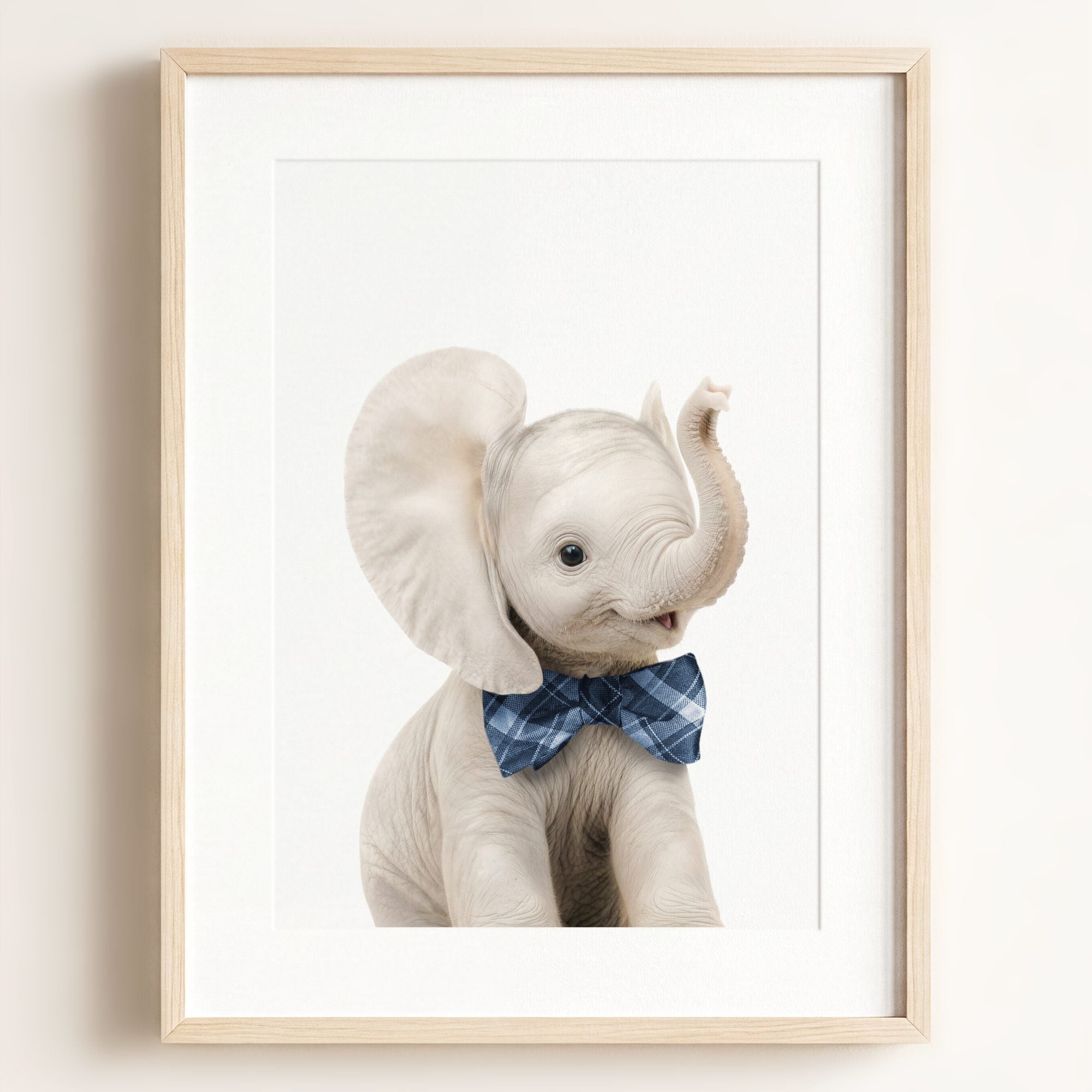 Baby Elephant