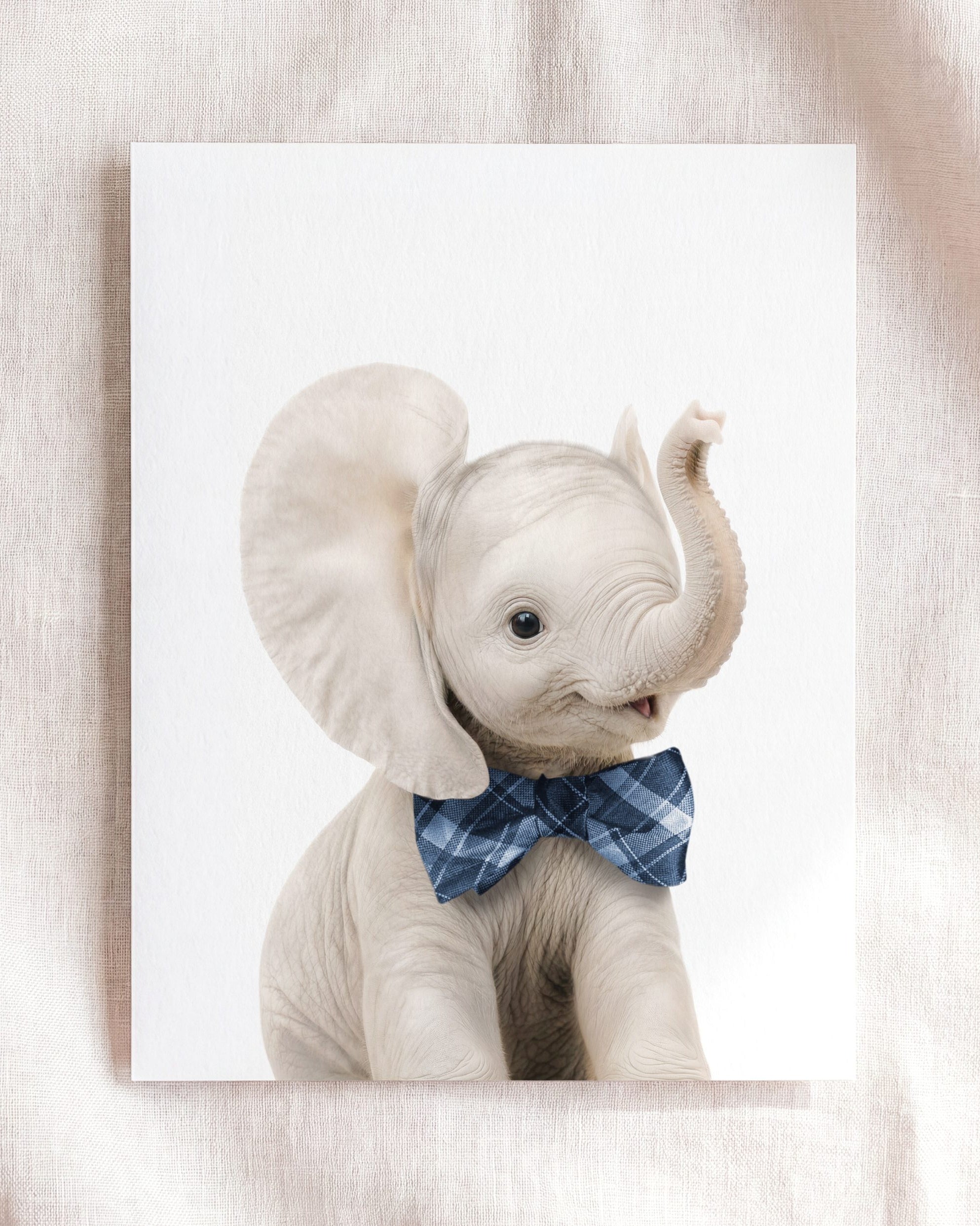 Baby Elephant