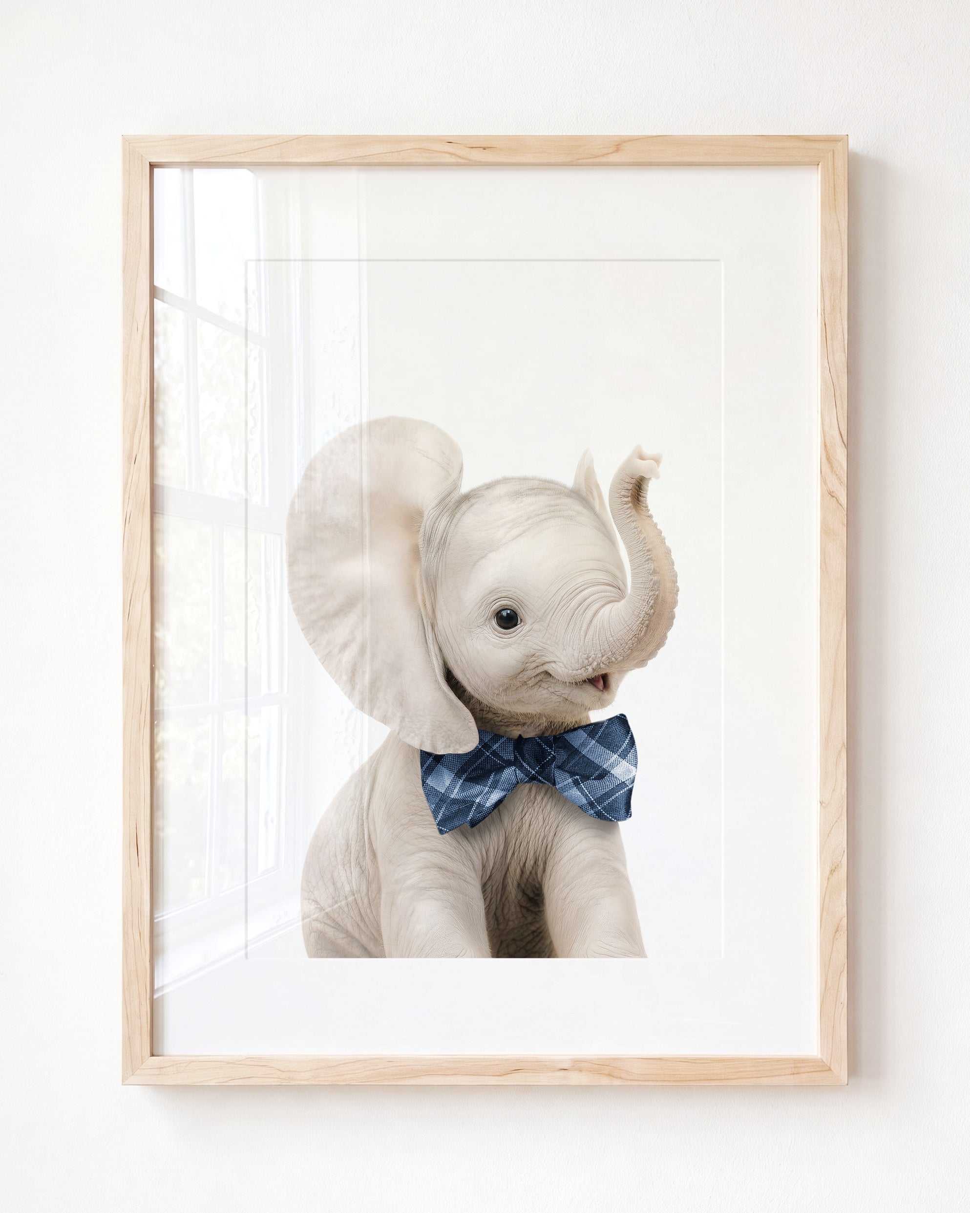 Baby Elephant