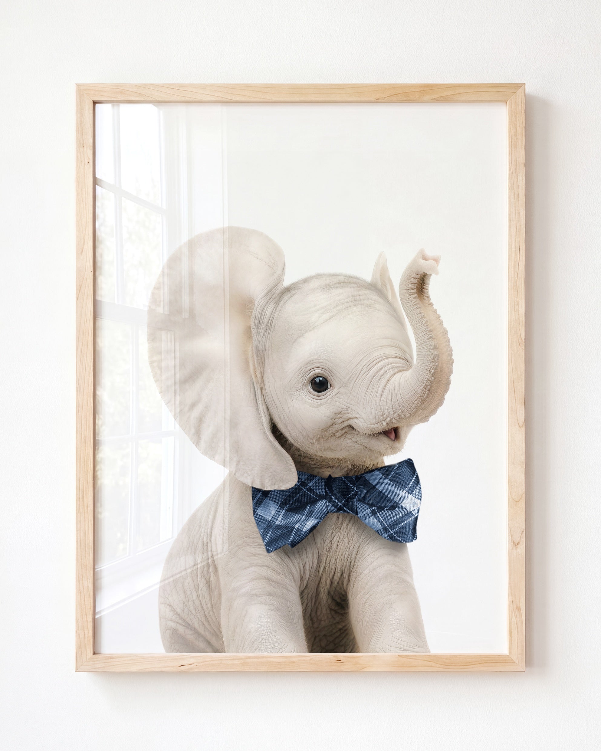 Baby Elephant