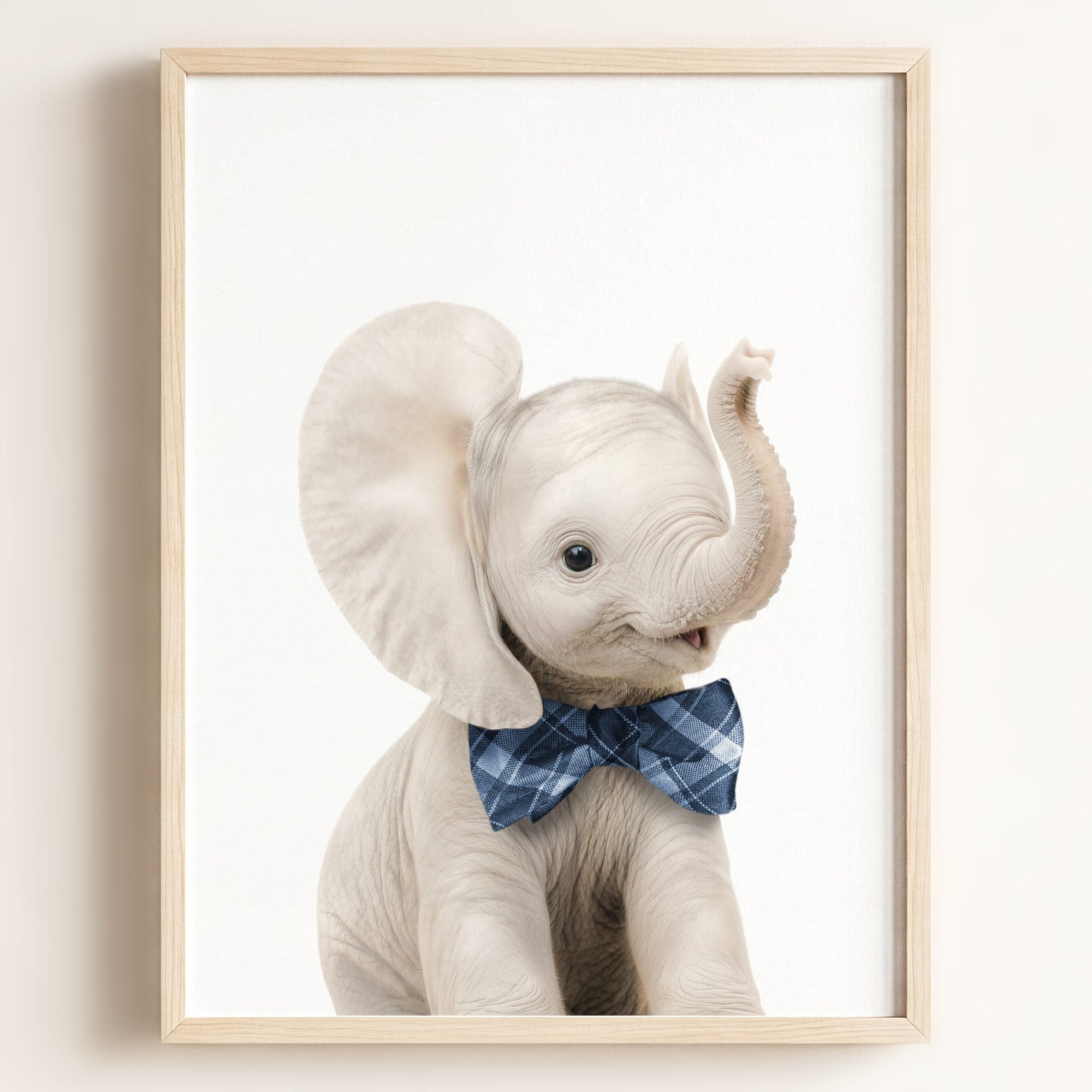 Baby Elephant