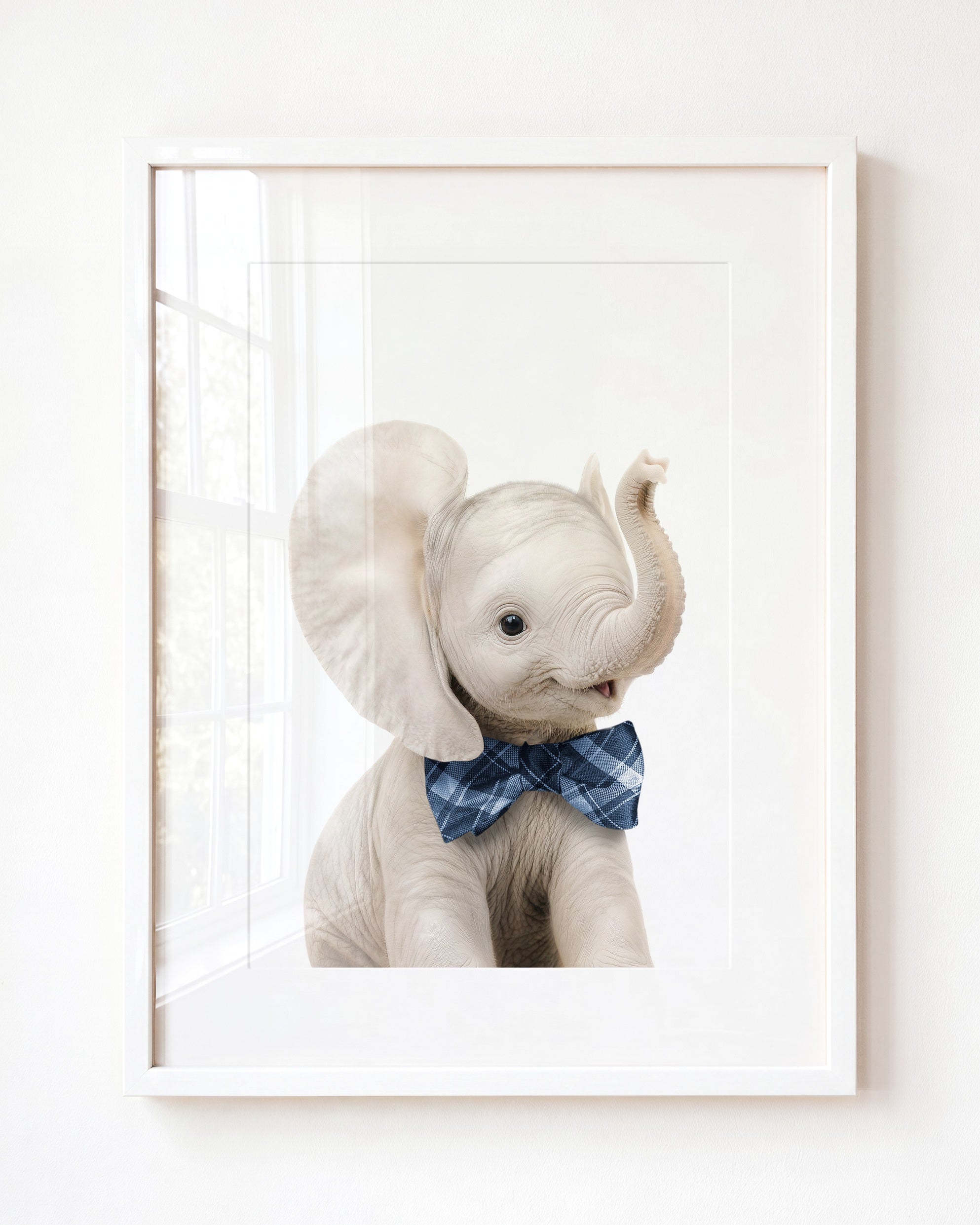 Baby Elephant