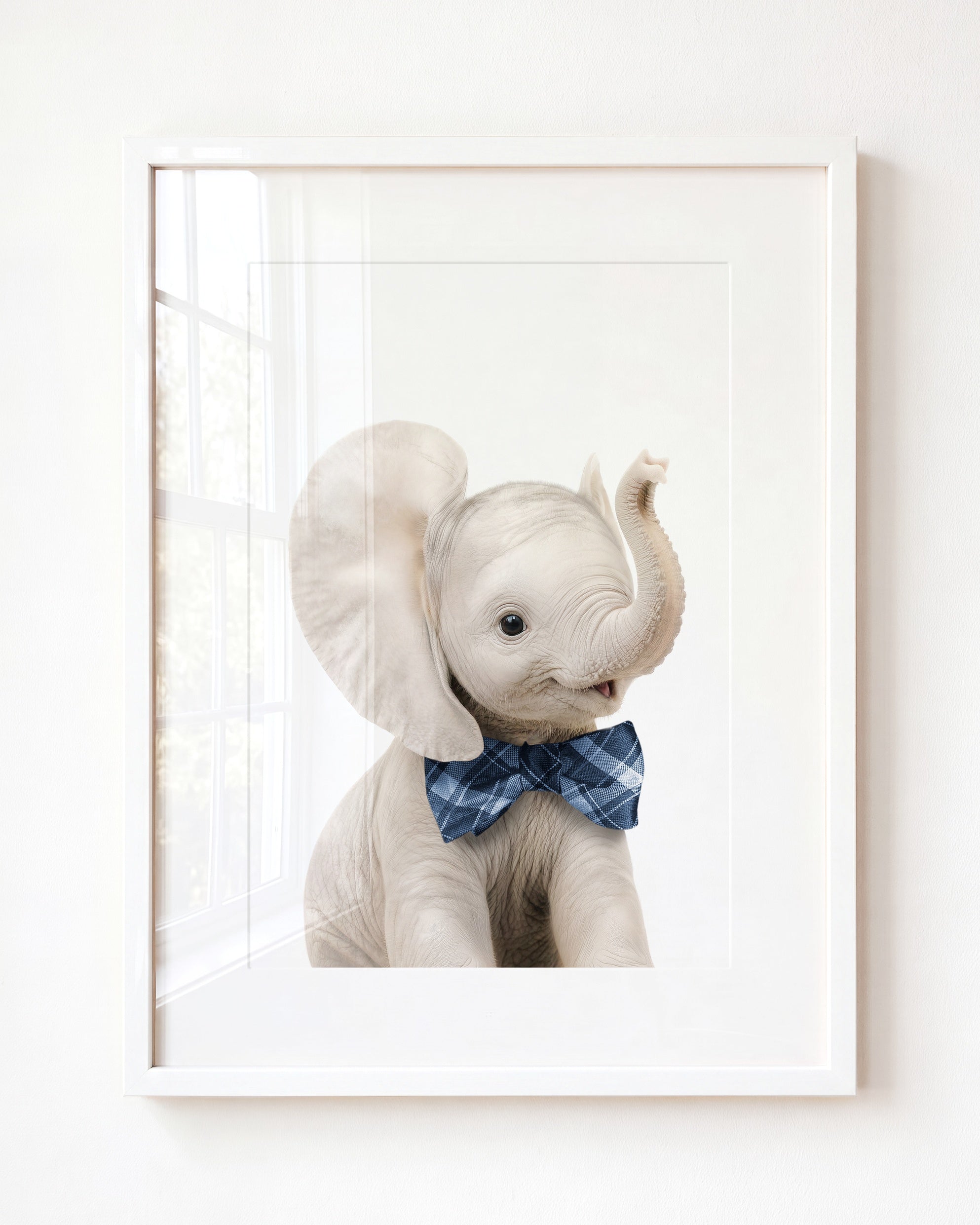 Baby Elephant