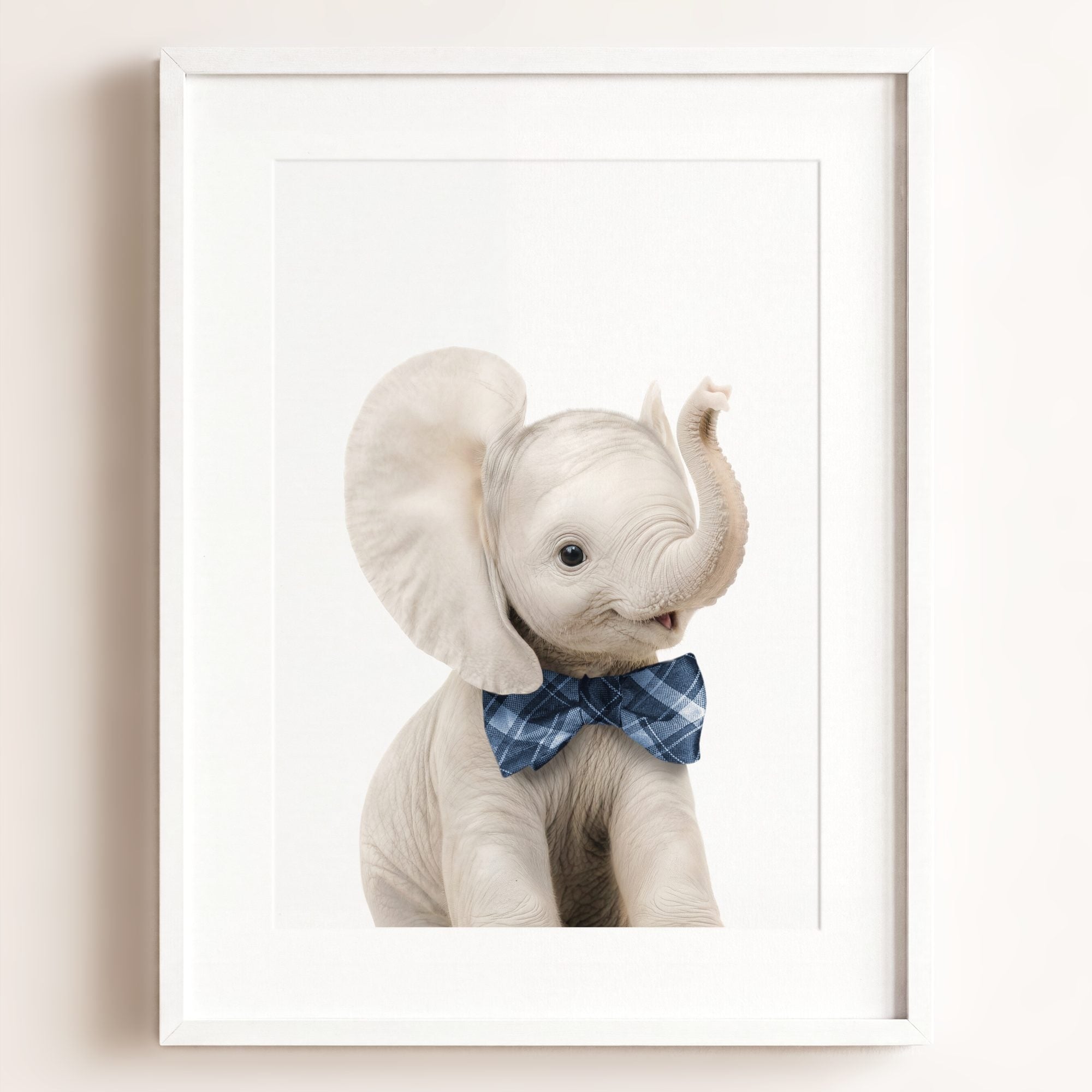 Baby Elephant
