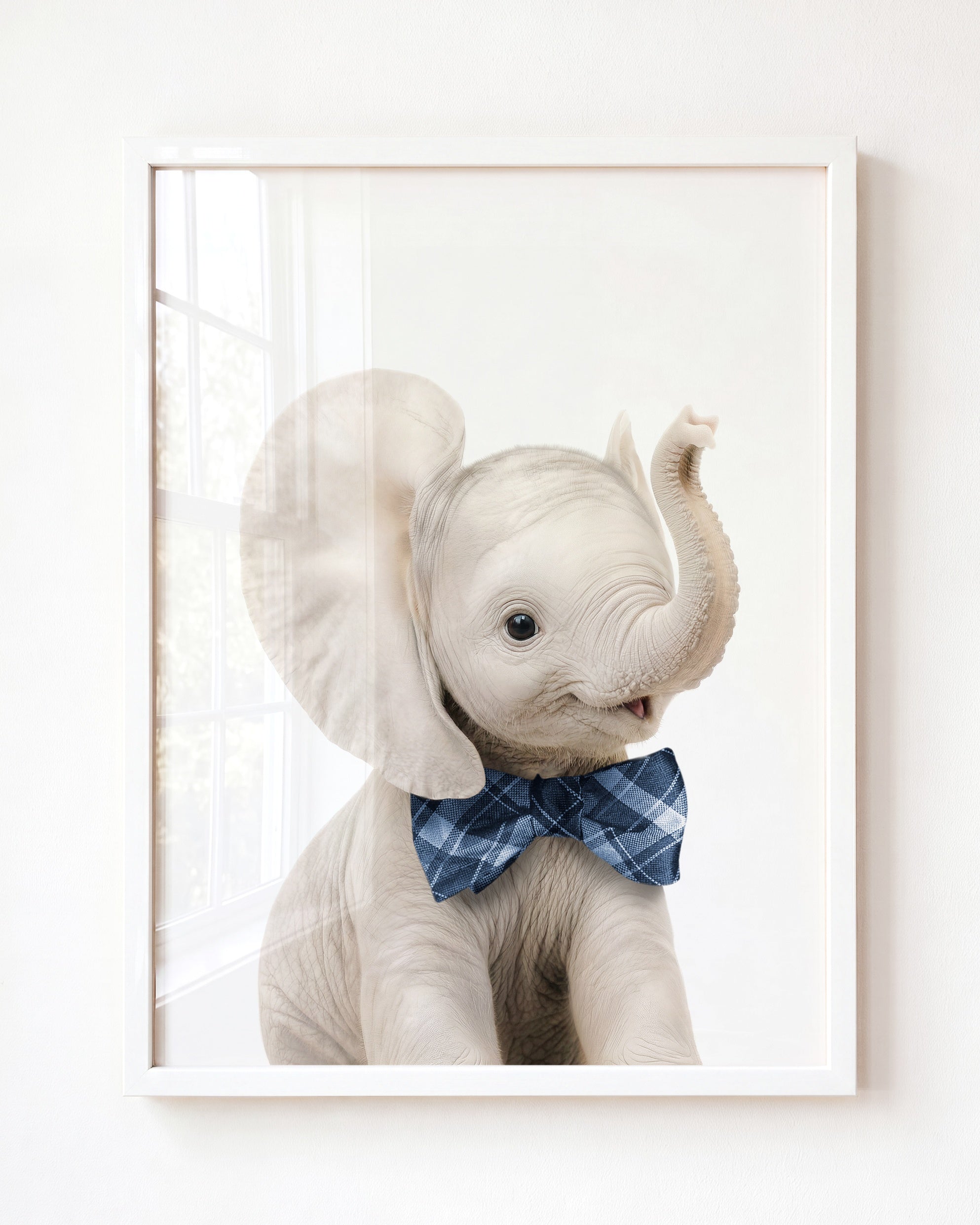 Baby Elephant