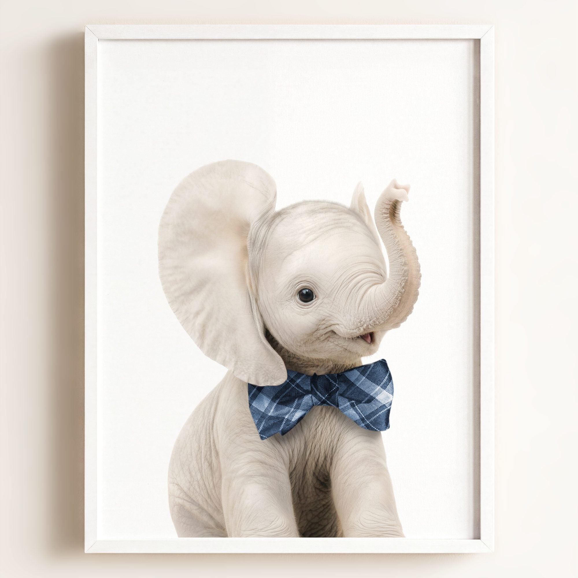 Baby Elephant
